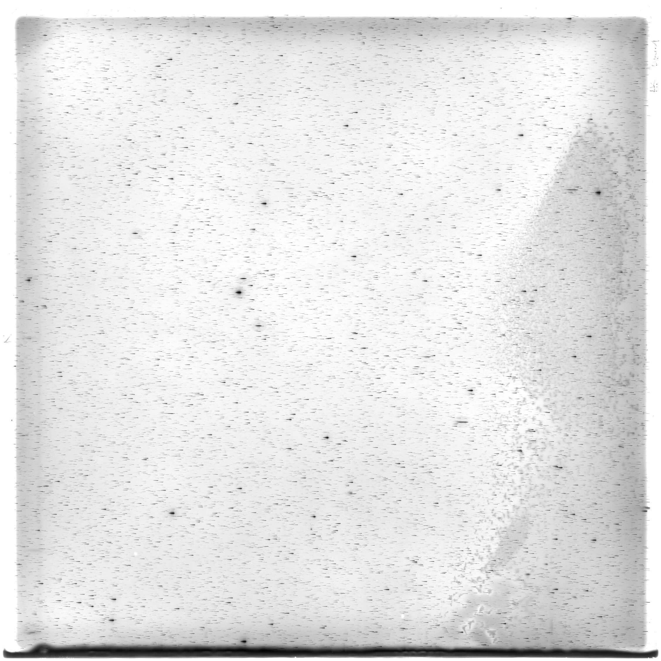 Scan HS01441
