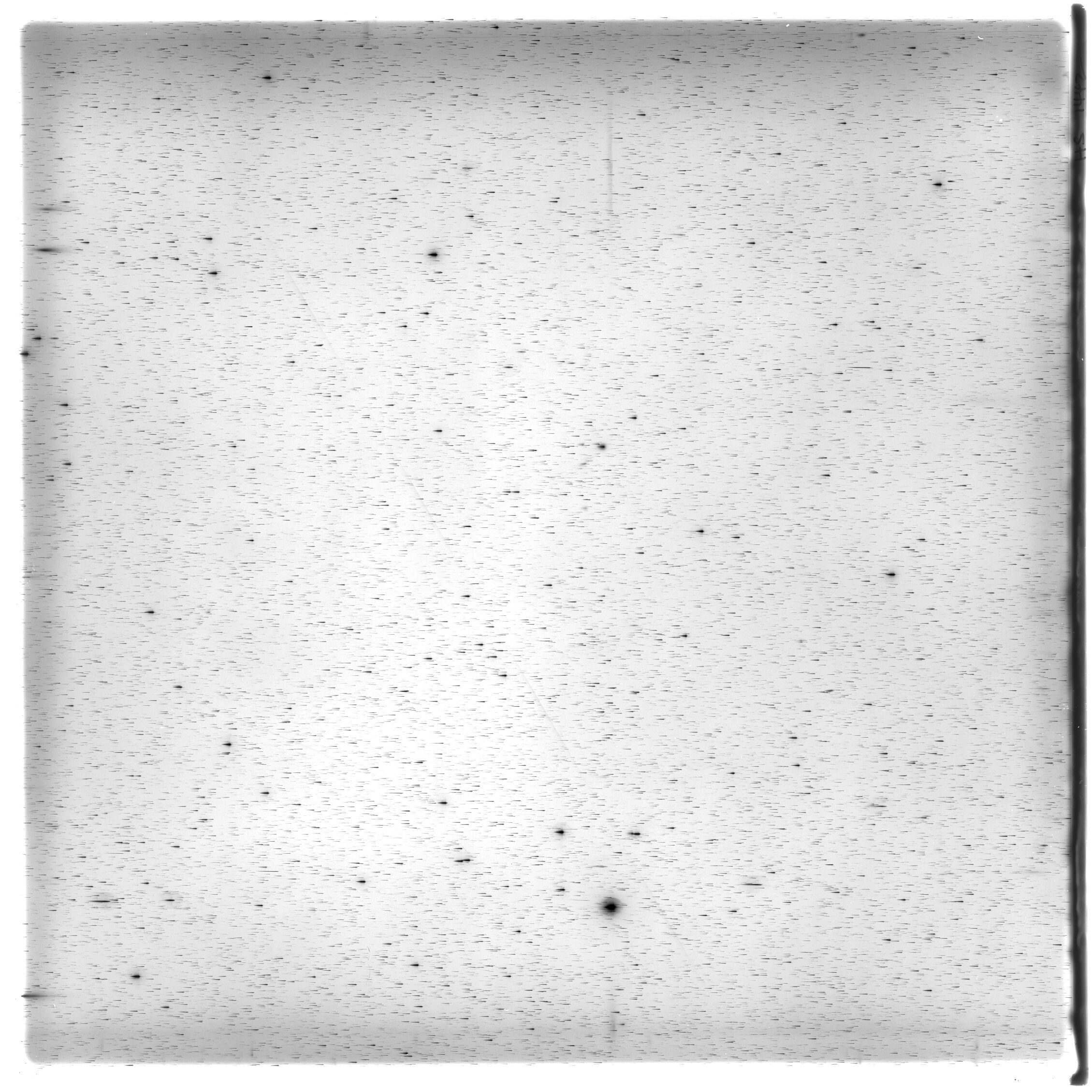 Scan HS01442