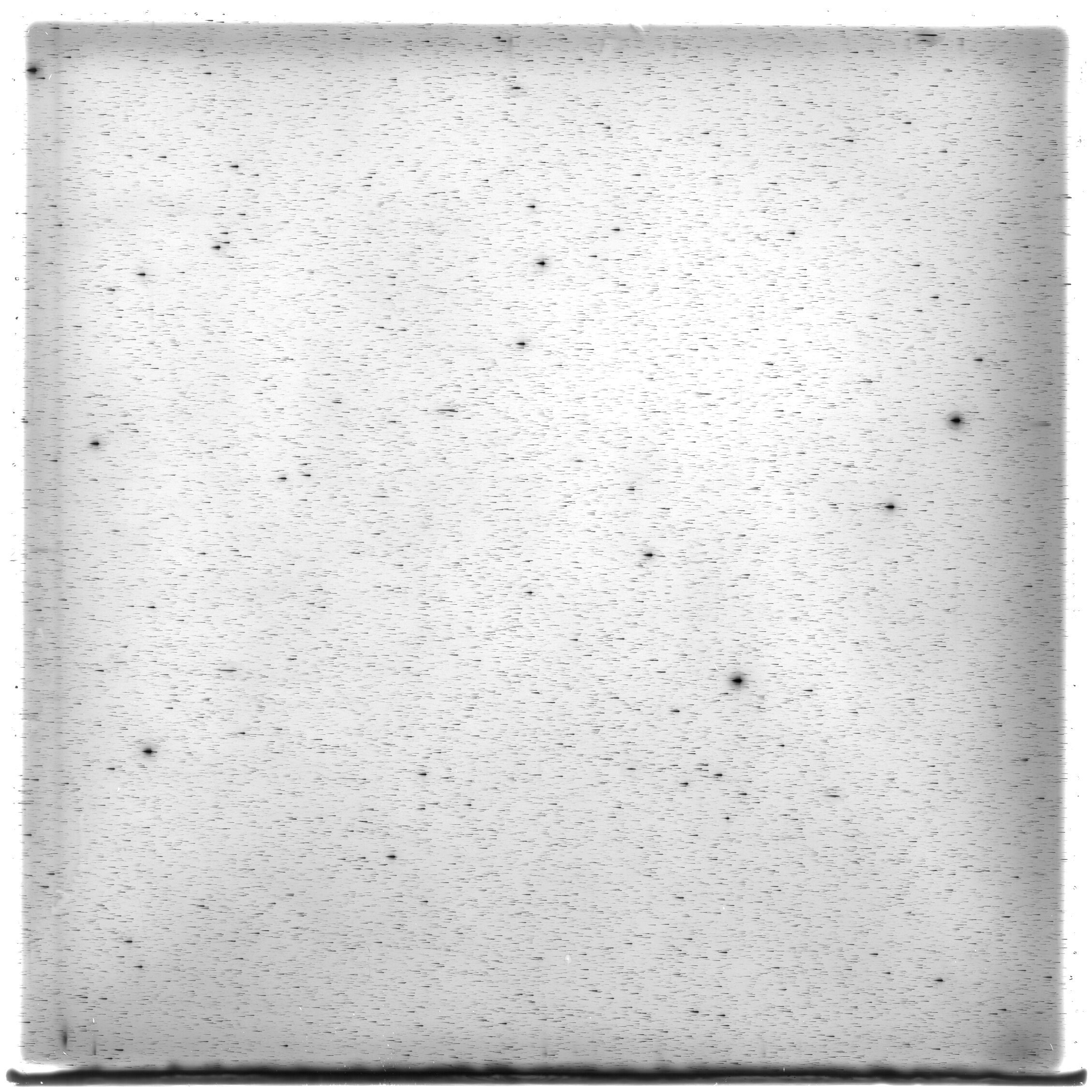 Scan HS01443
