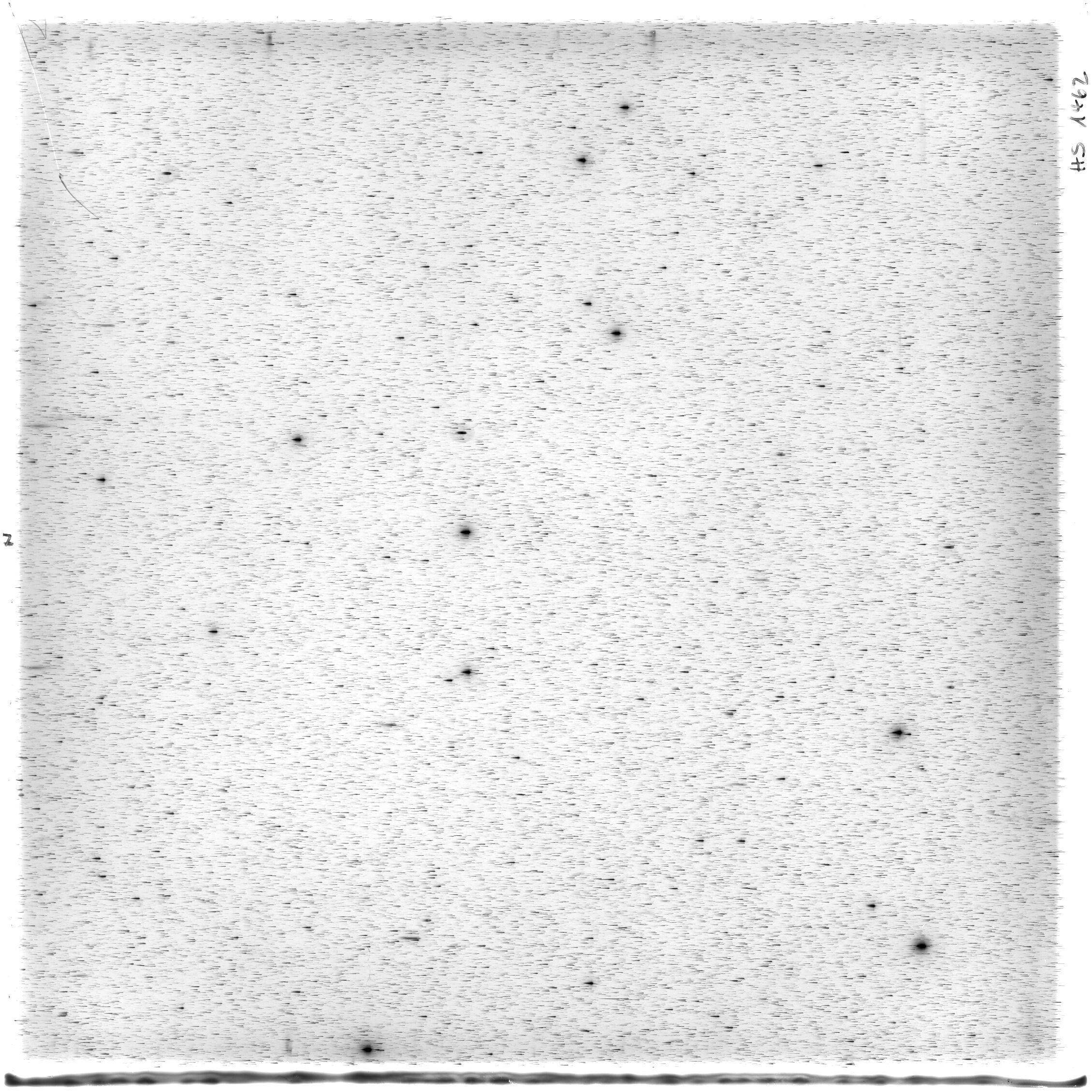 Scan HS01462