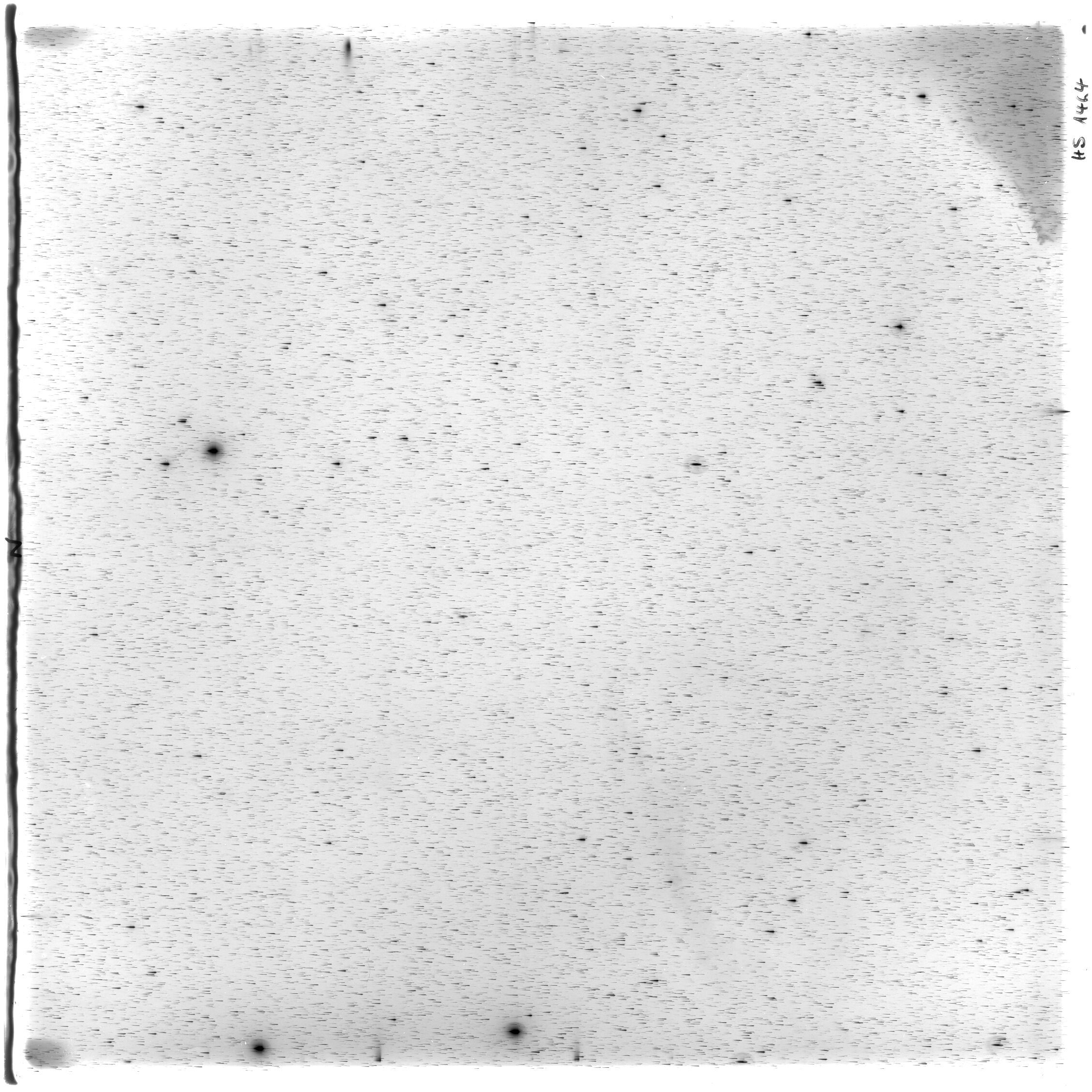 Scan HS01464