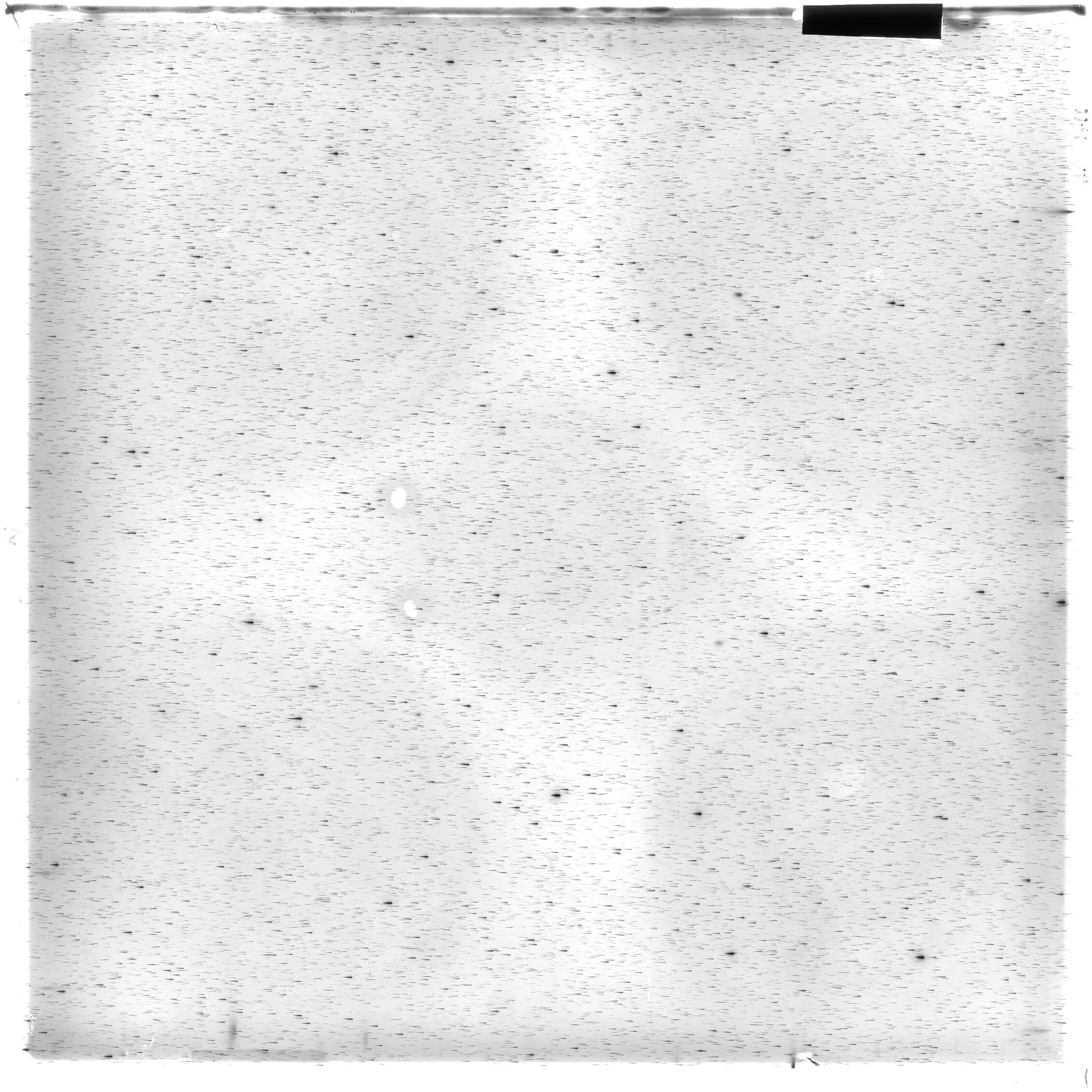 Scan HS01466