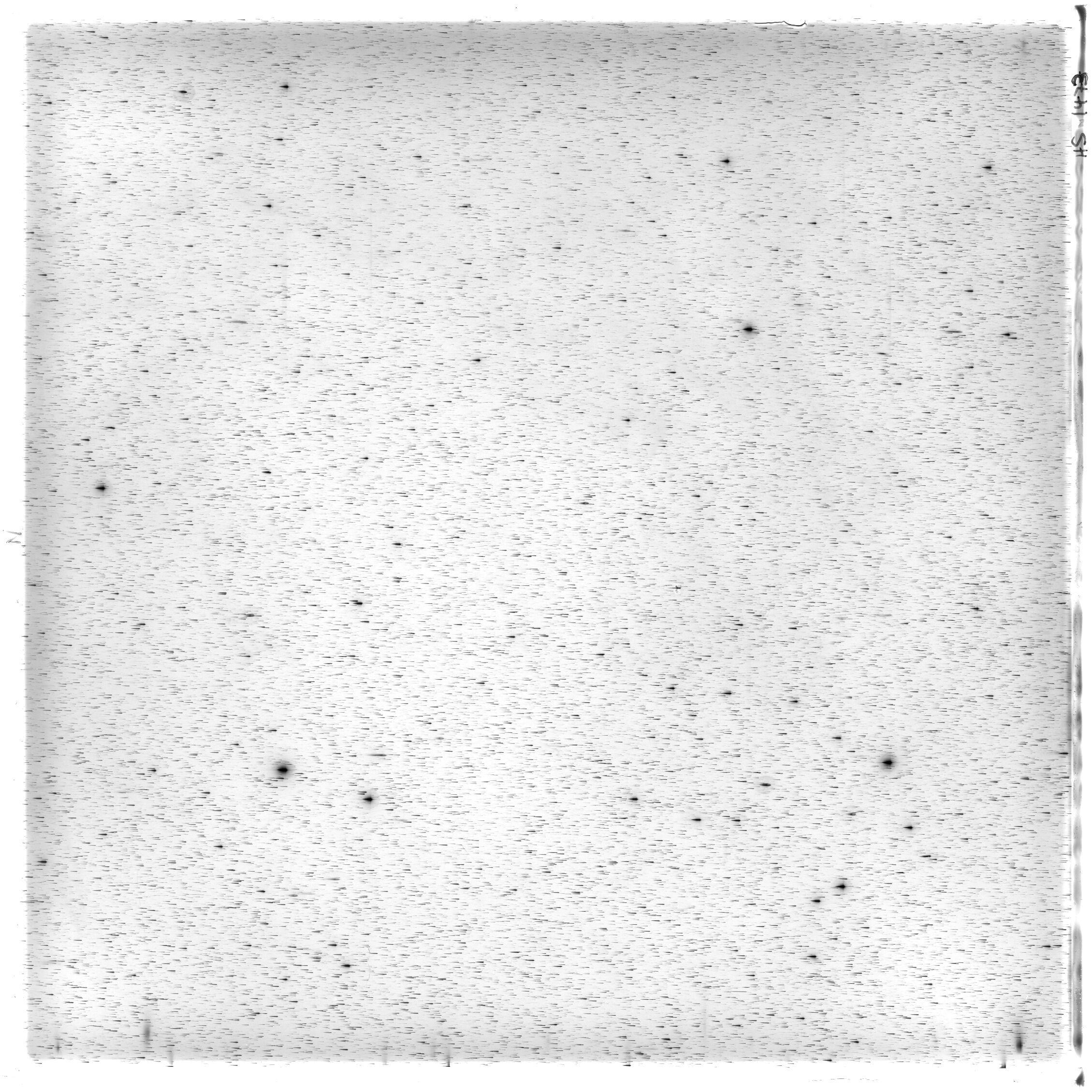 Scan HS01473