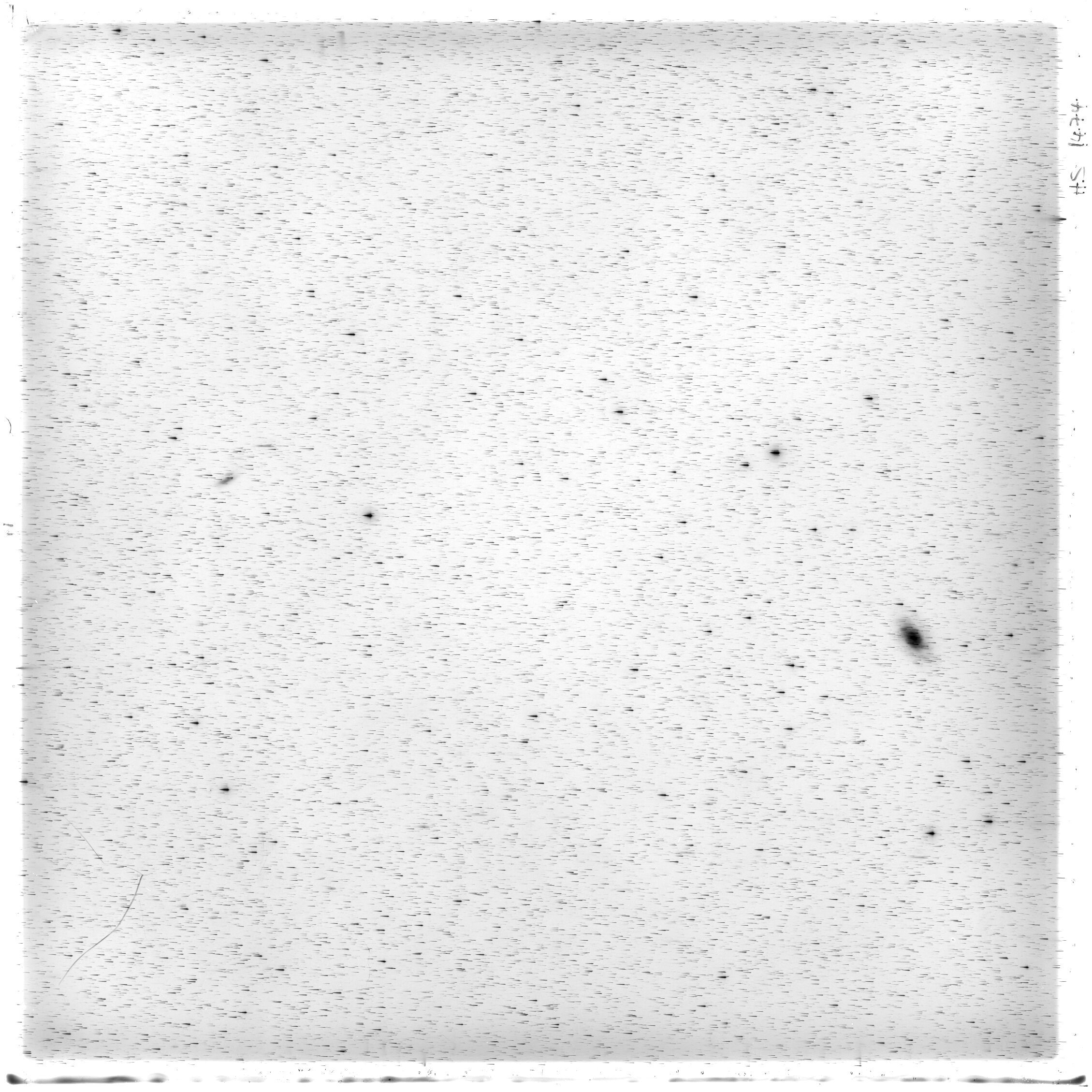 Scan HS01474