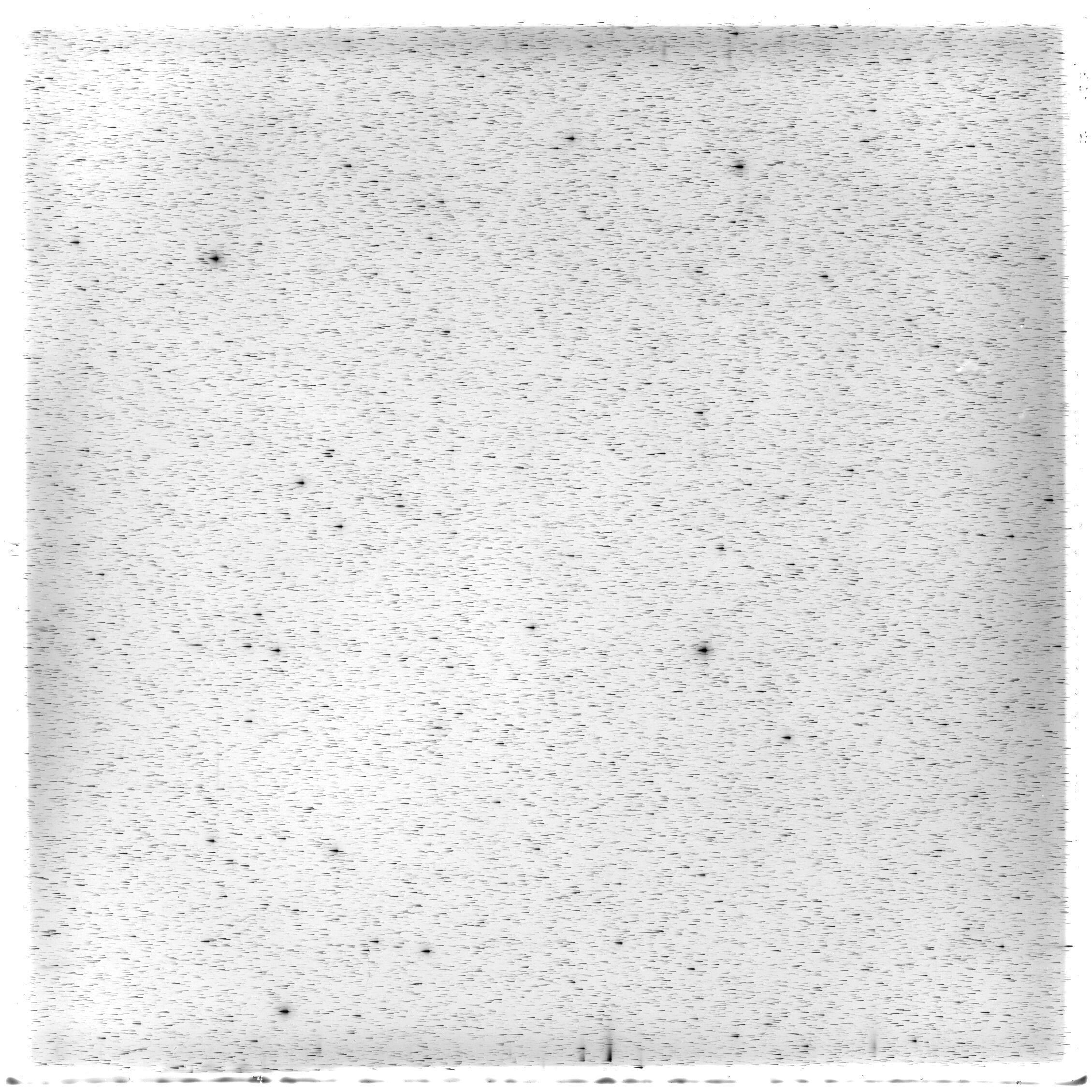 Scan HS01475