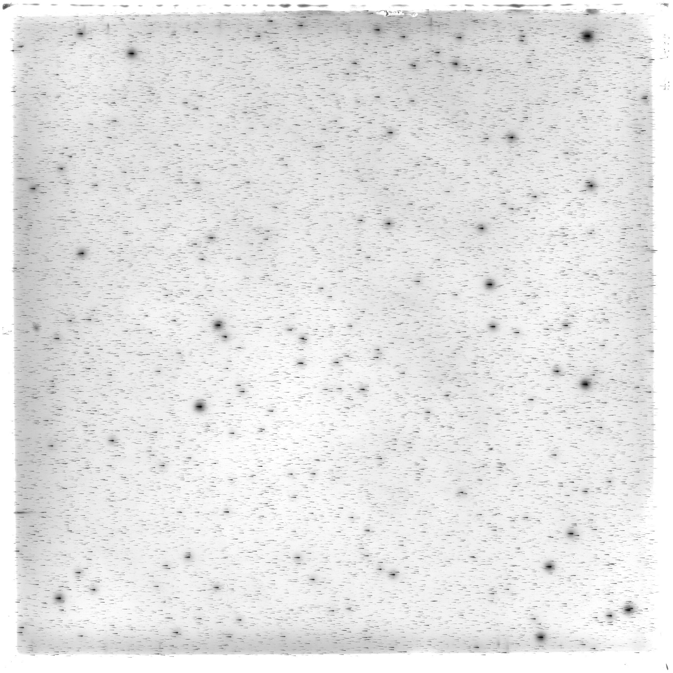 Scan HS01477