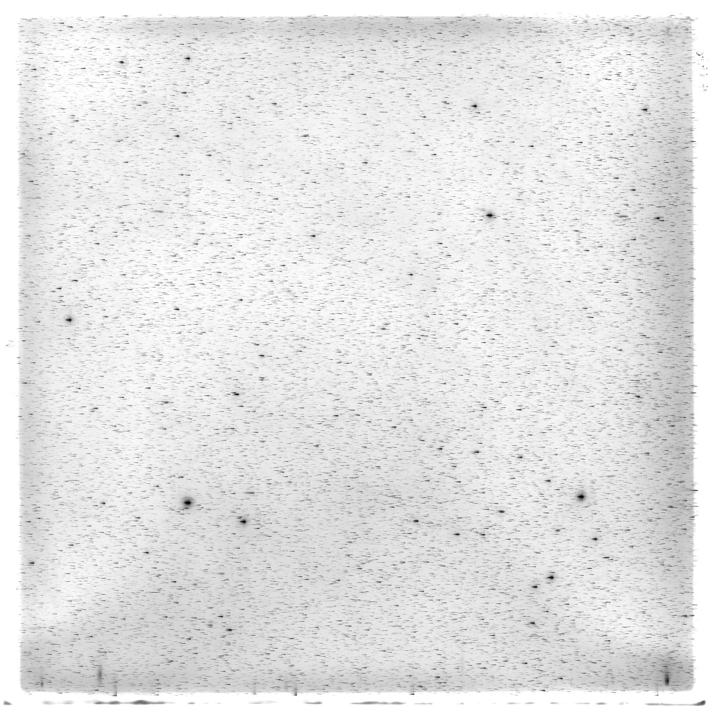 Scan HS01478
