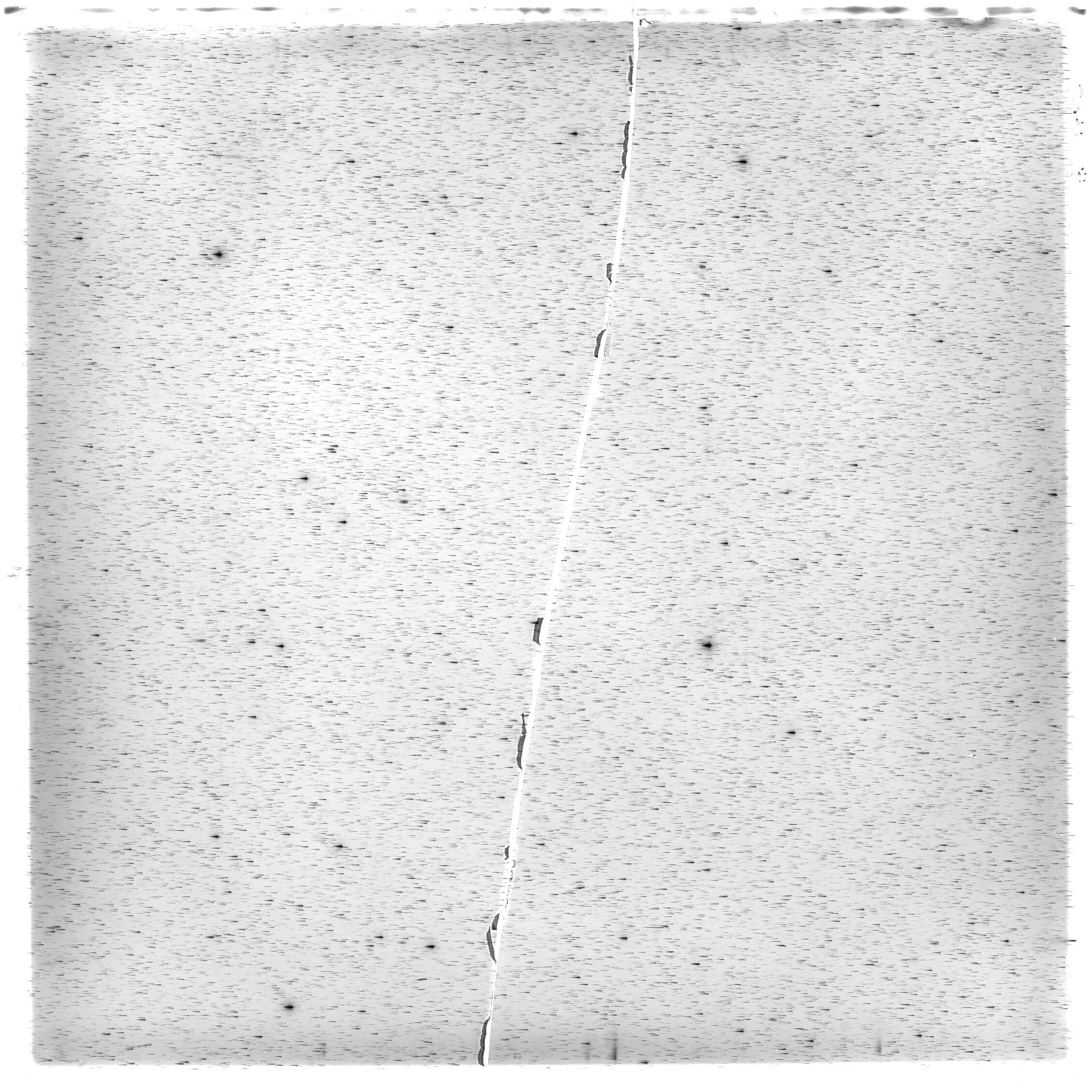 Scan HS01482