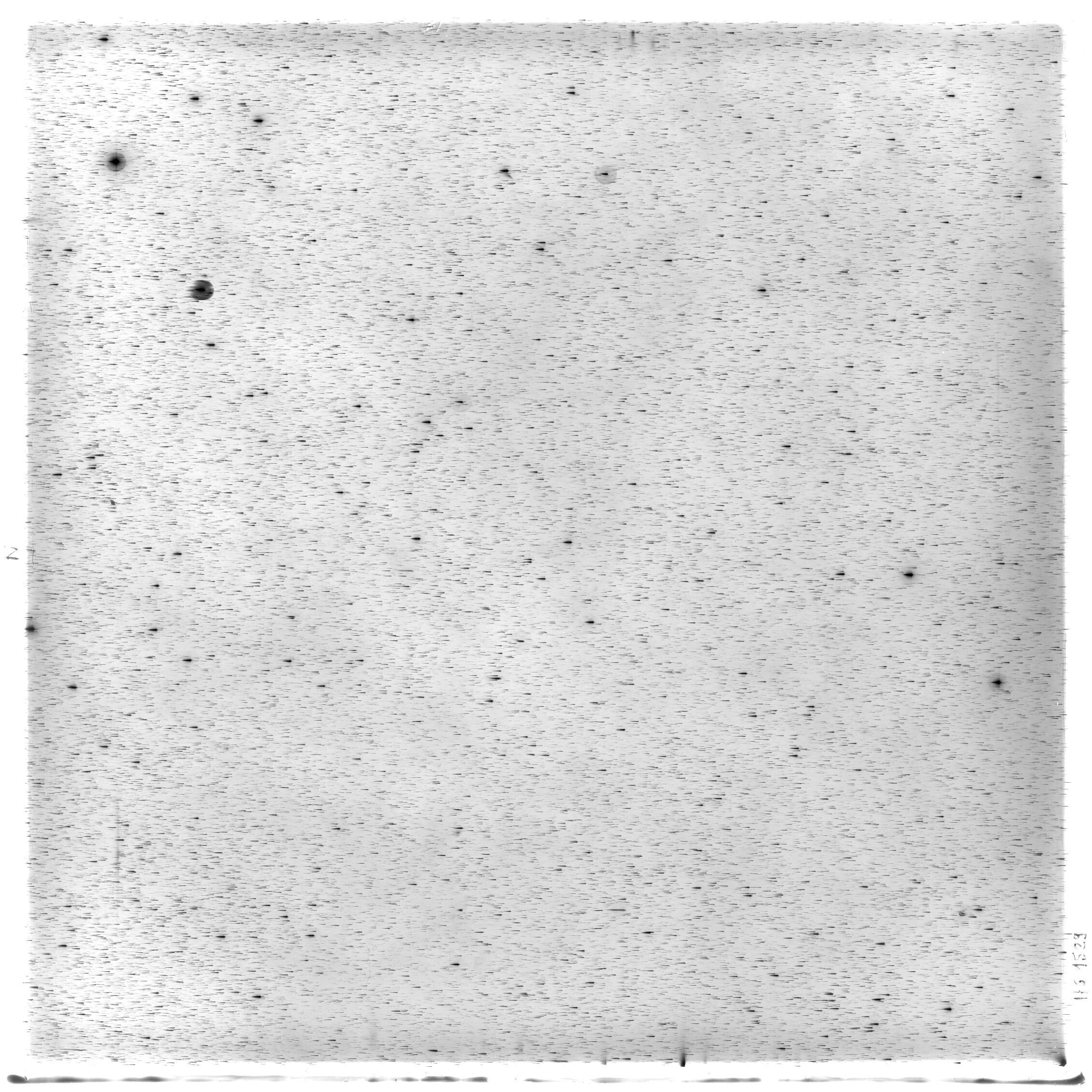 Scan HS01529