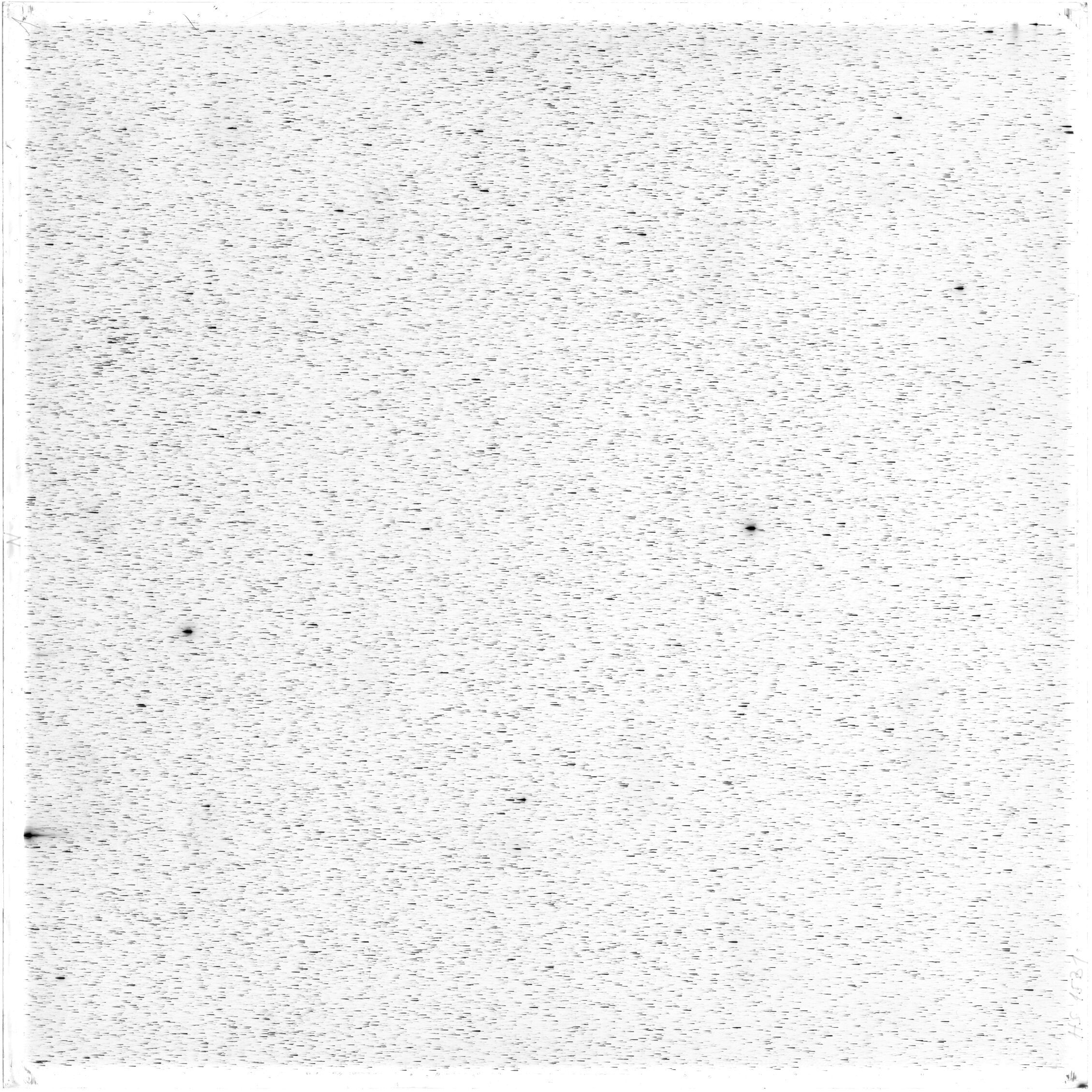 Scan HS01531