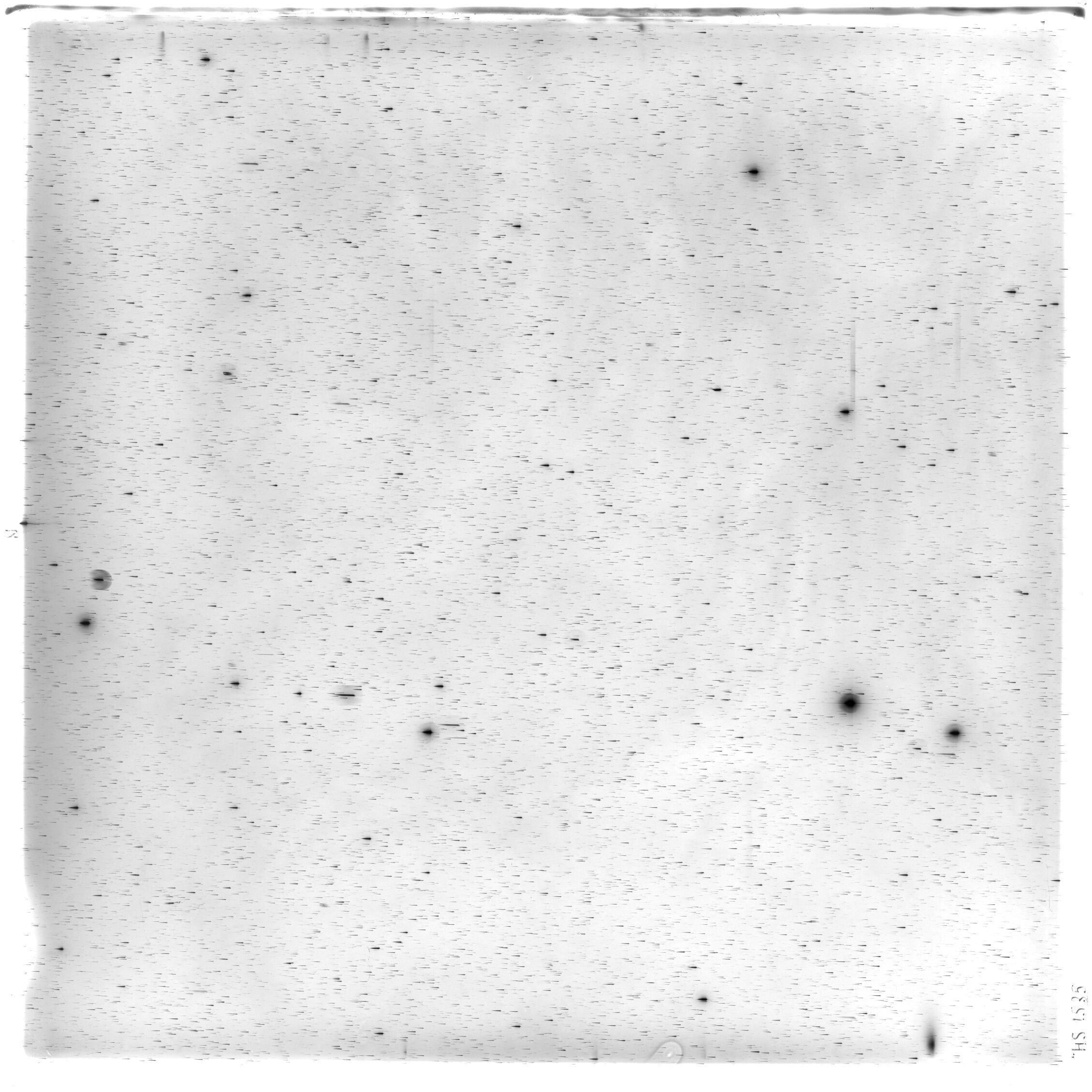 Scan HS01535