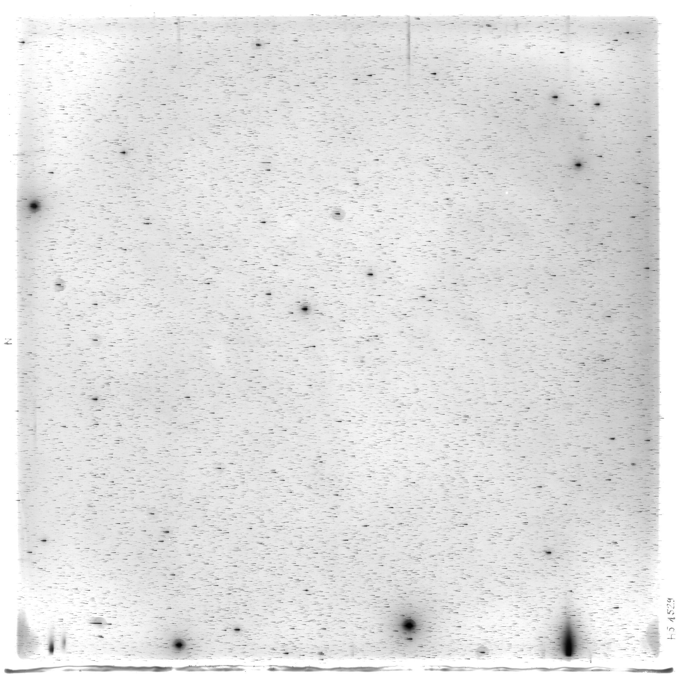 Scan HS01536