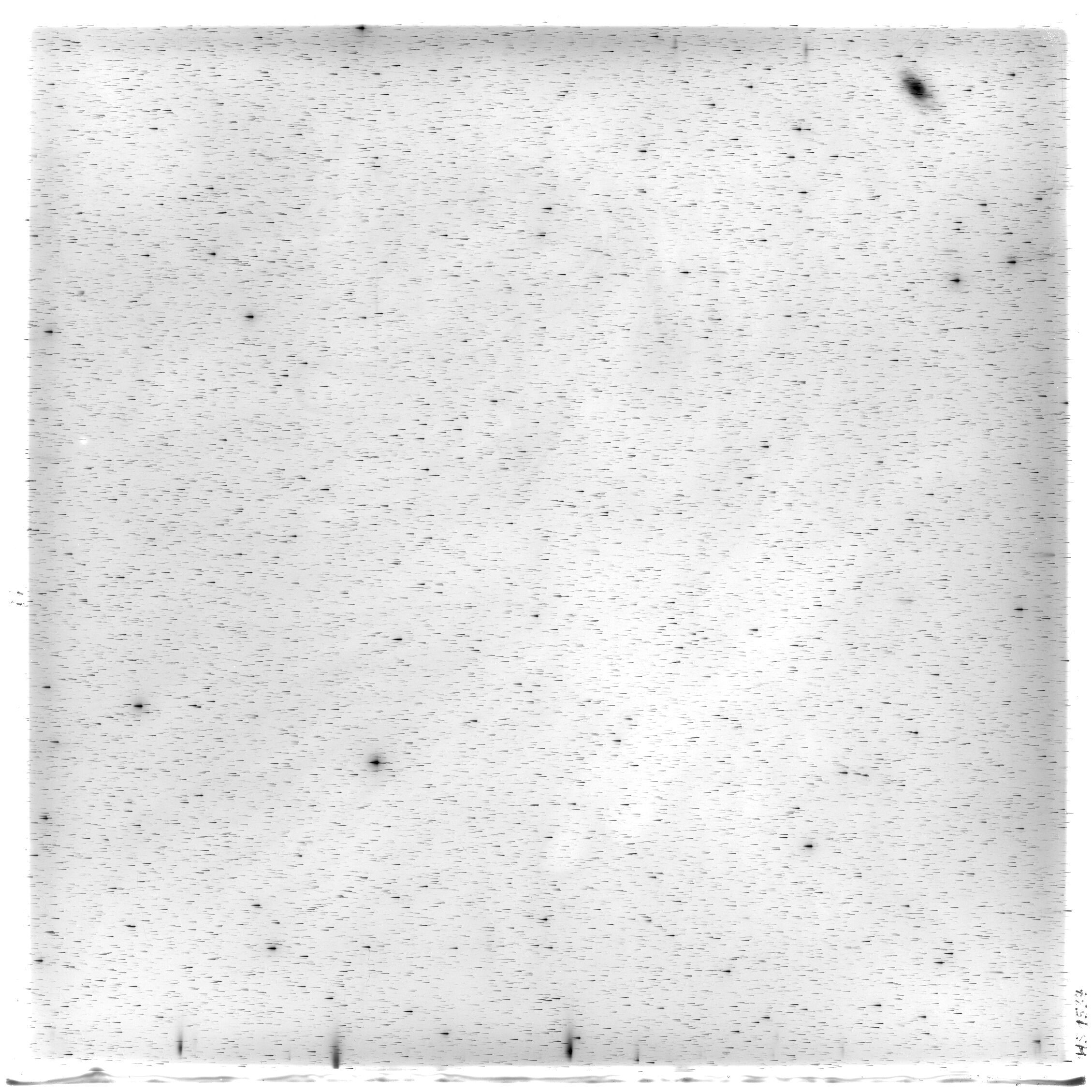 Scan HS01537