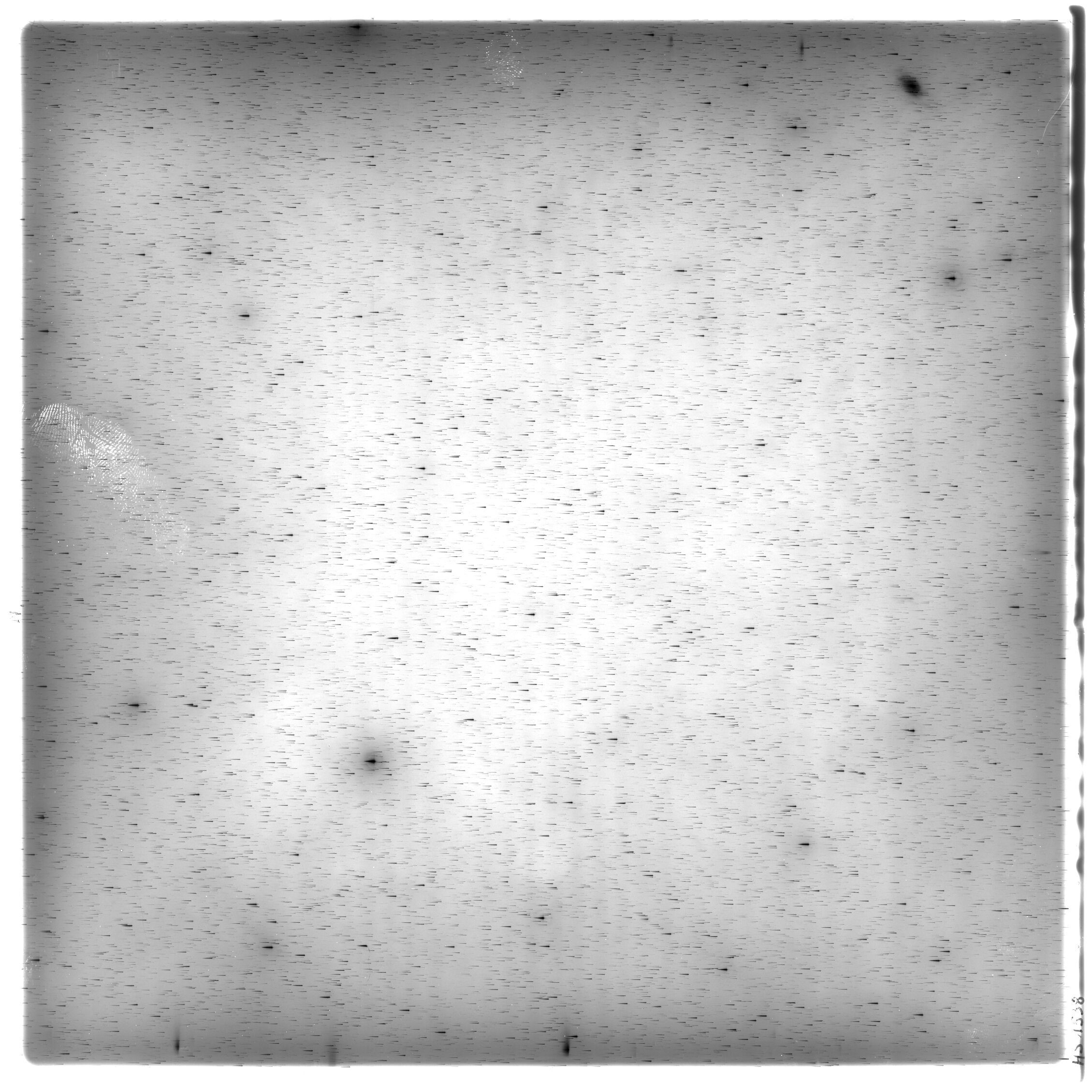 Scan HS01538