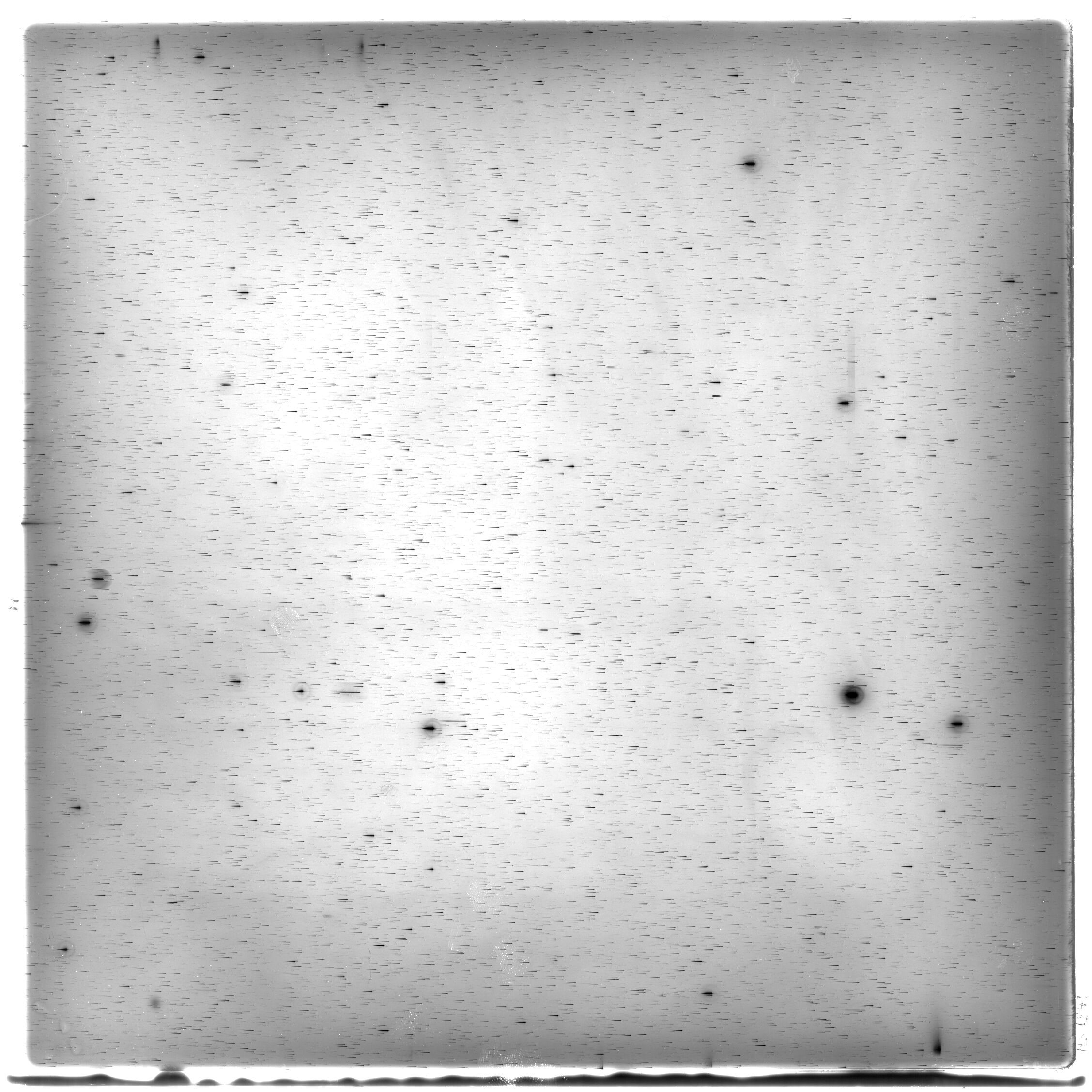 Scan HS01541
