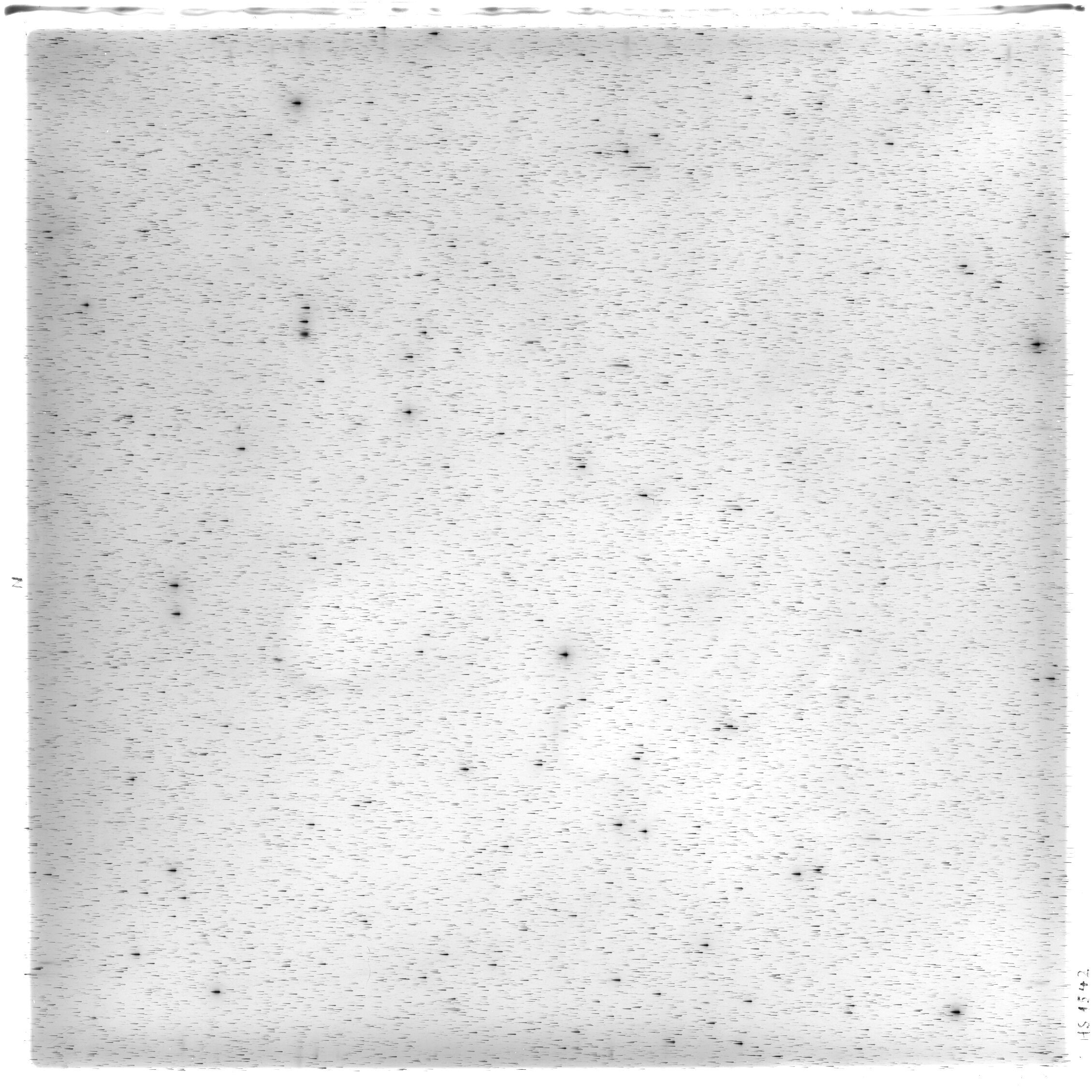 Scan HS01542