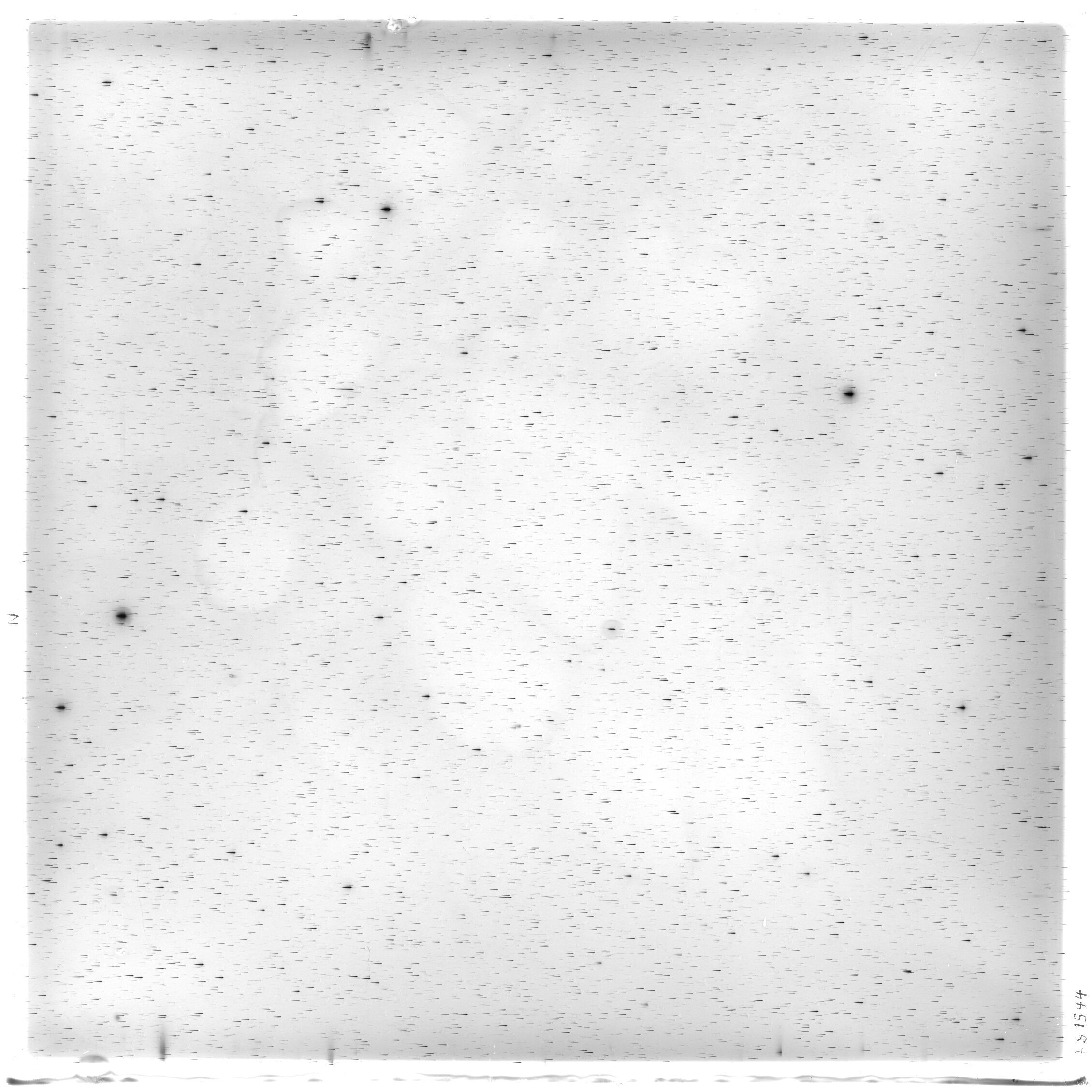 Scan HS01544