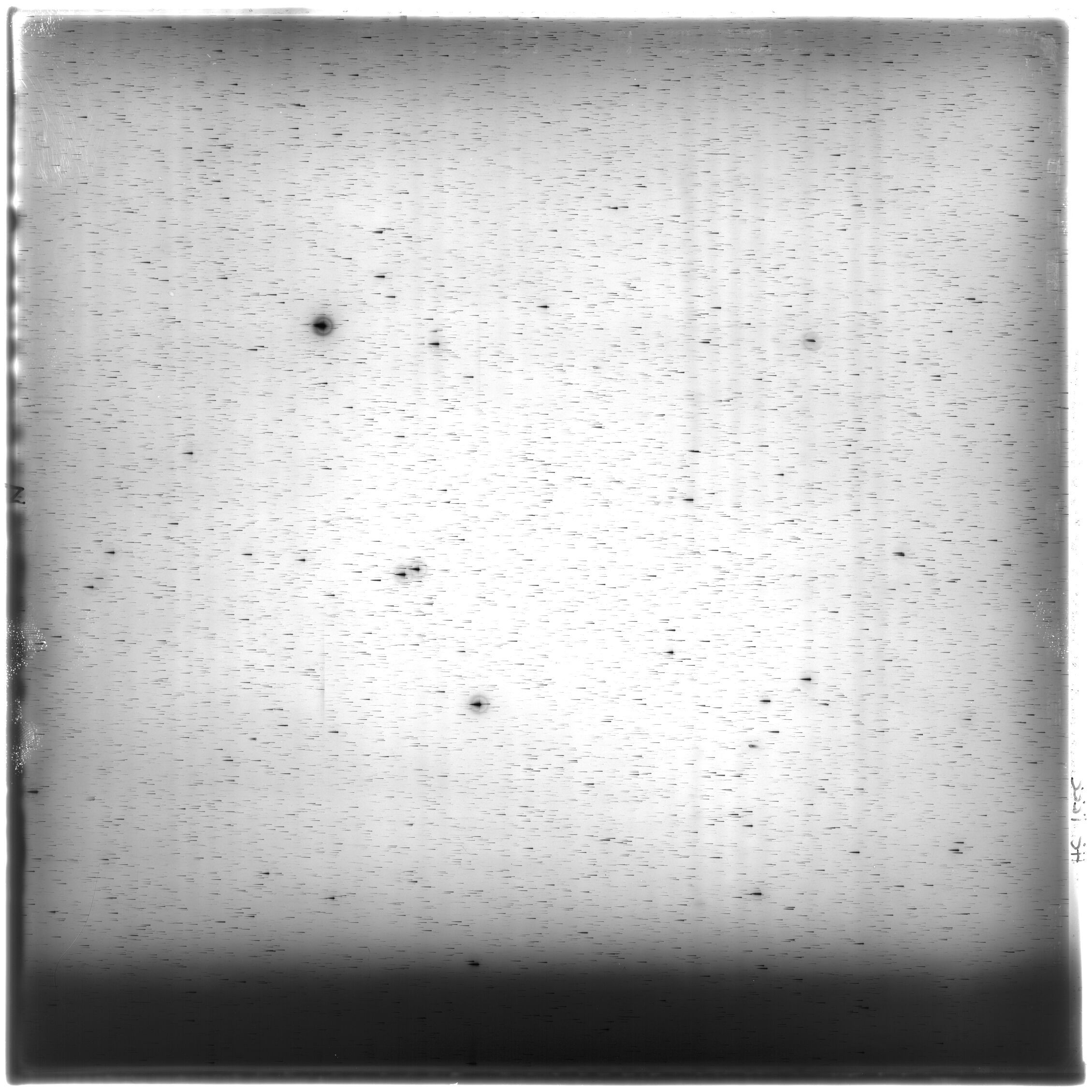 Scan HS01555