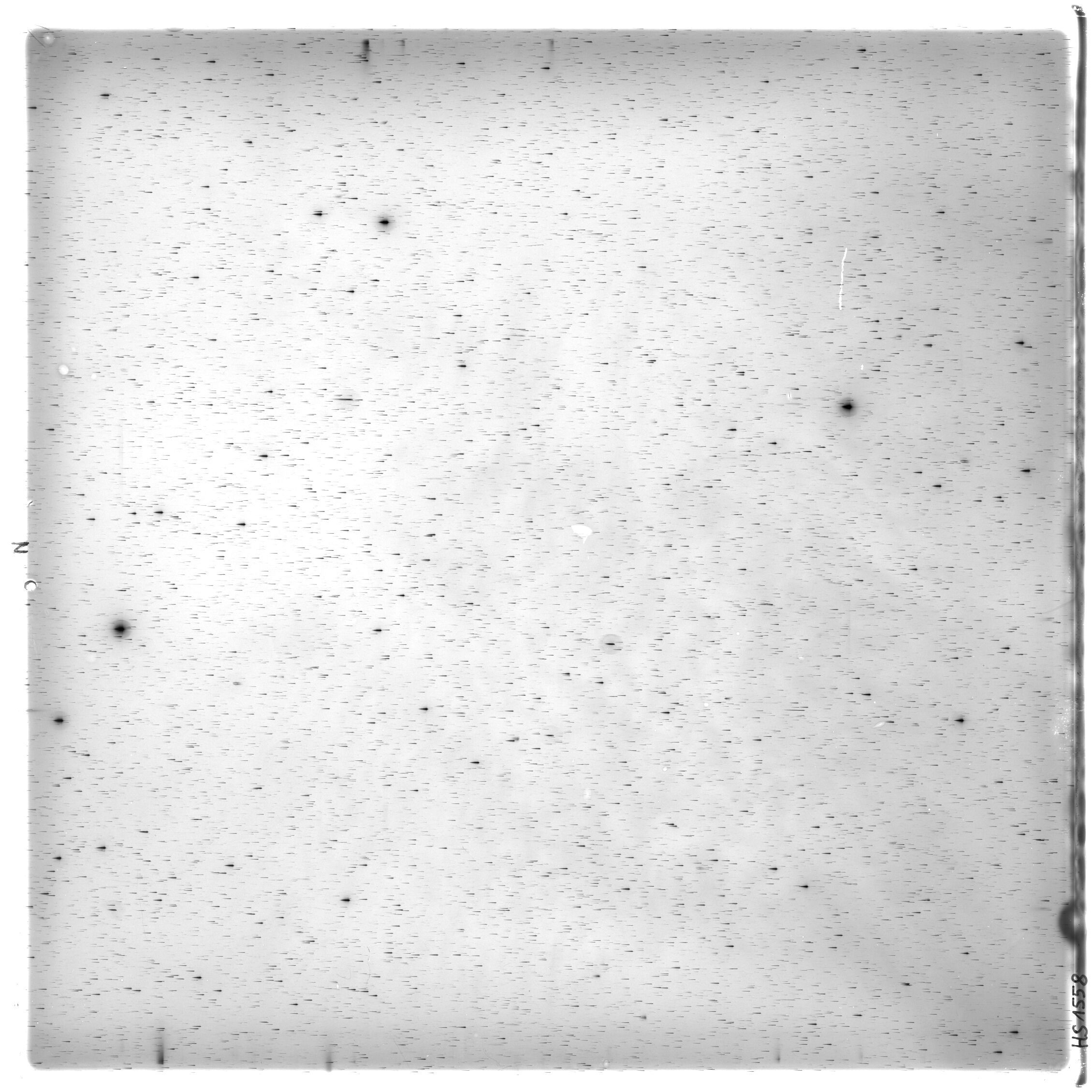 Scan HS01558