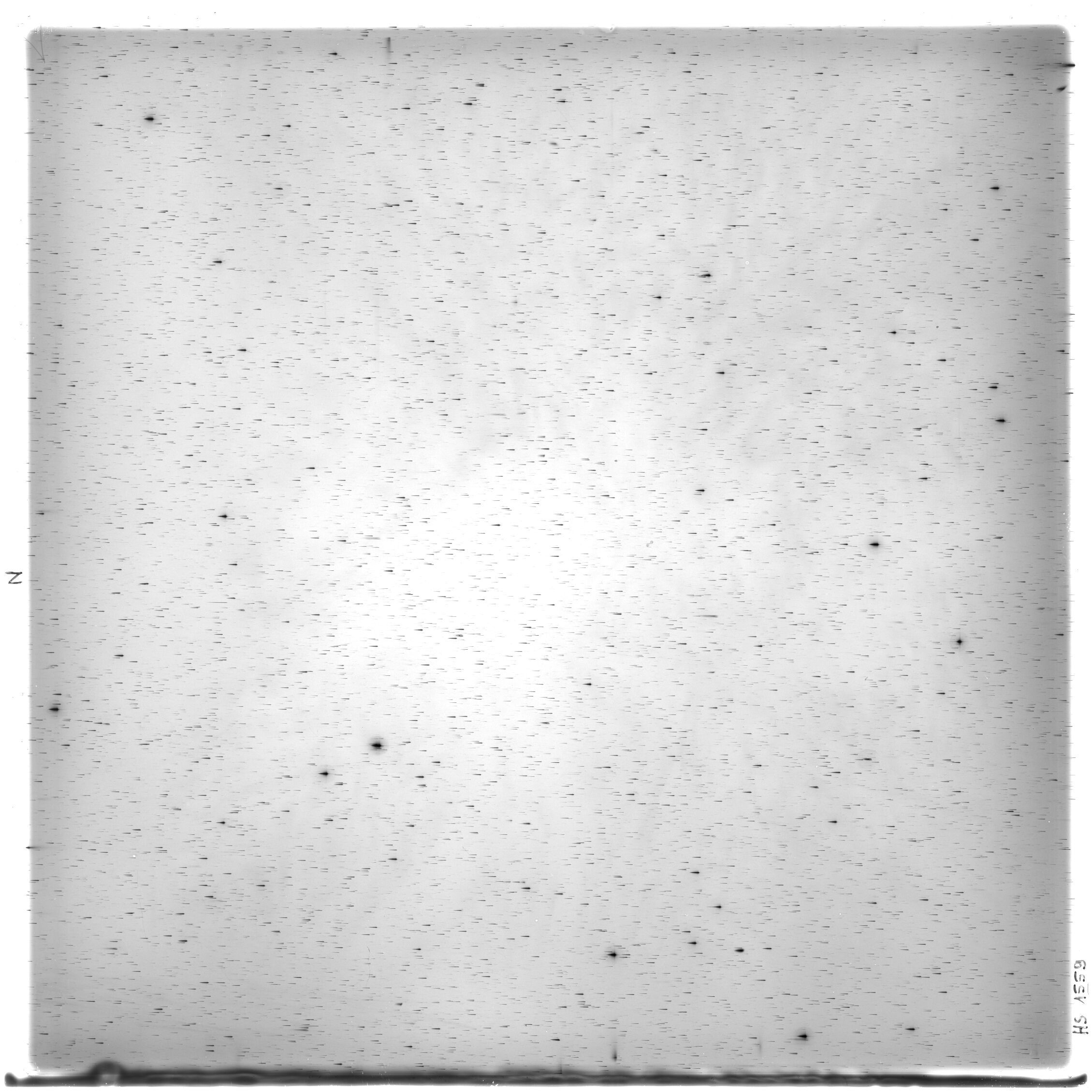 Scan HS01559
