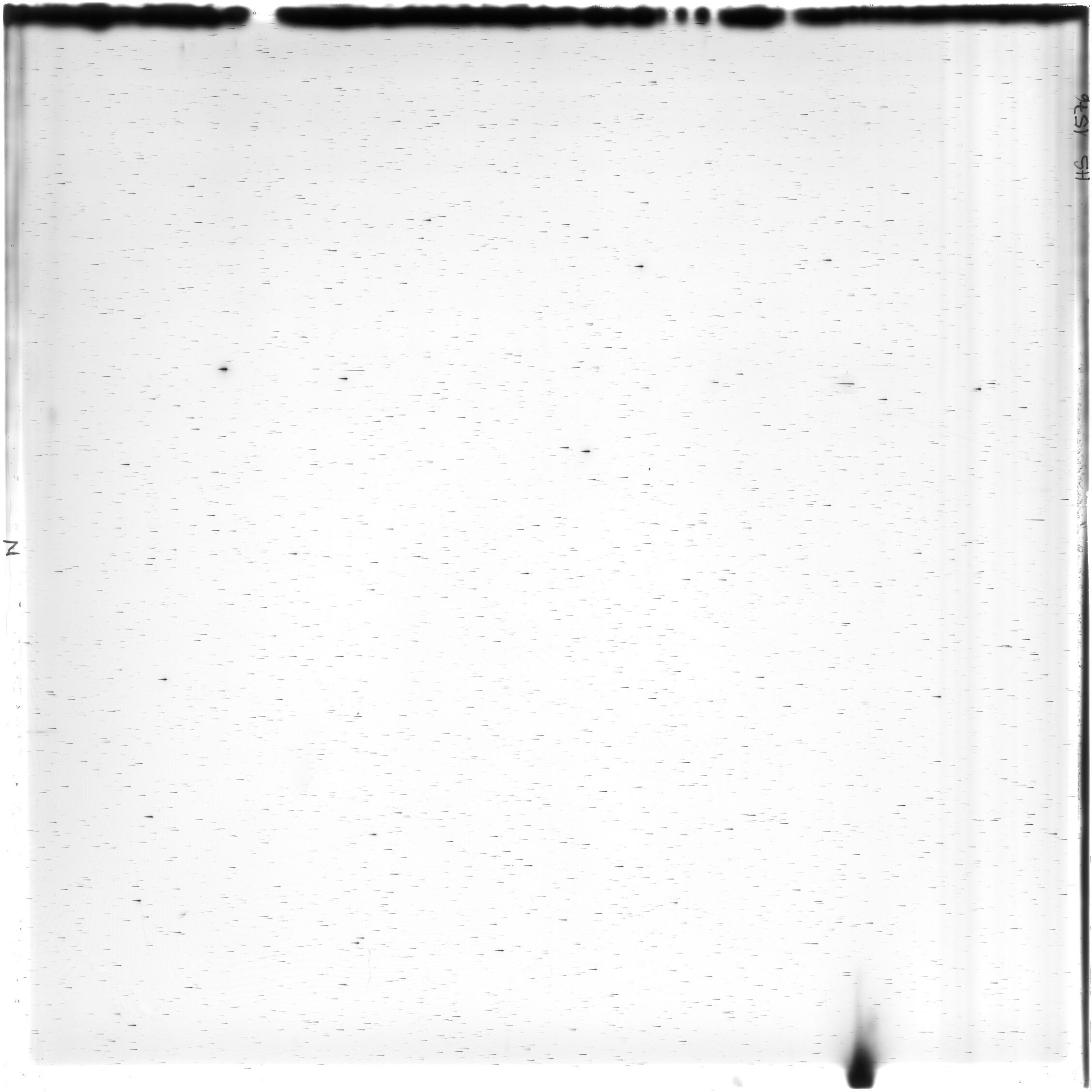 Scan HS01576