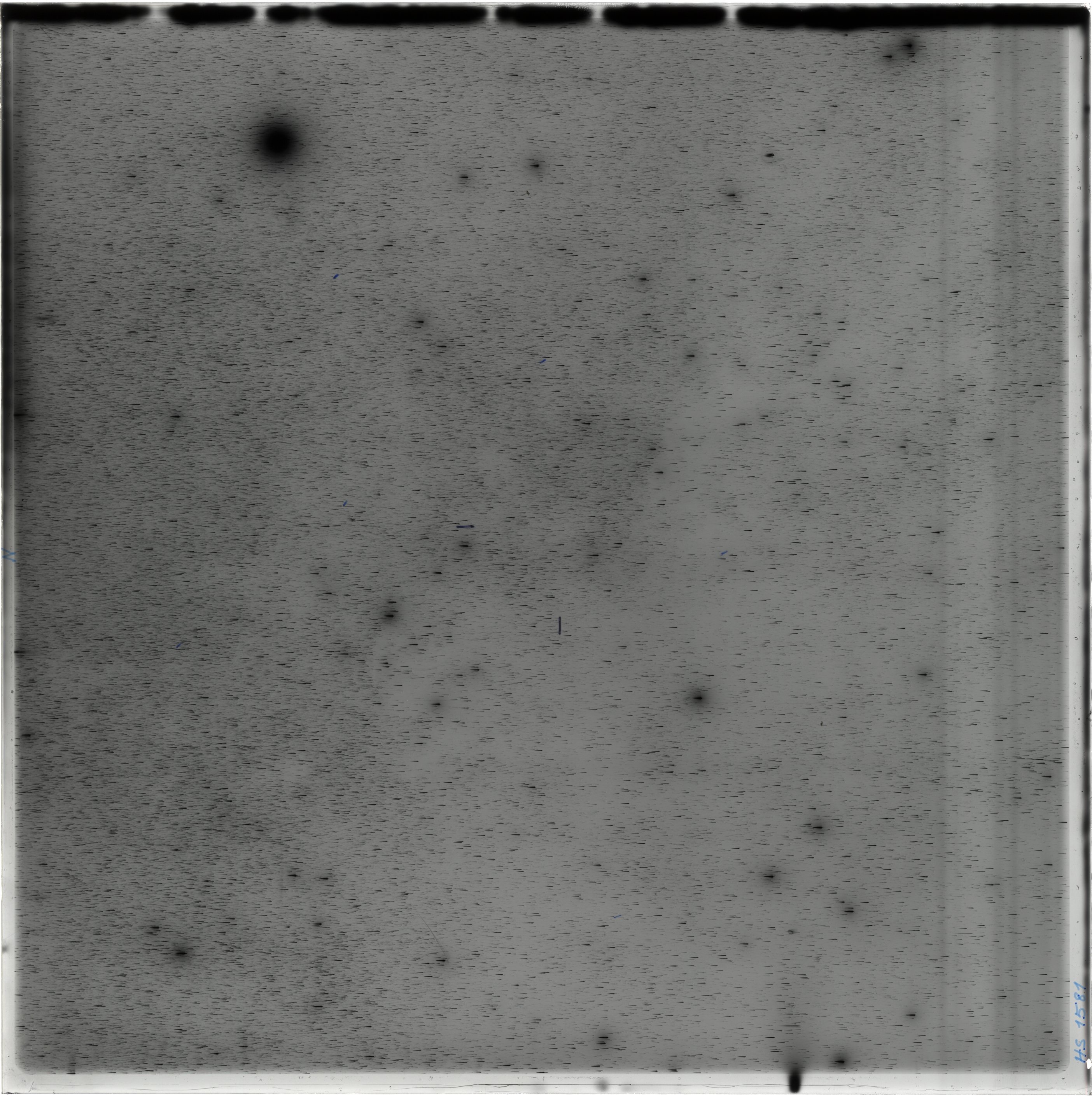 Scan HS01581