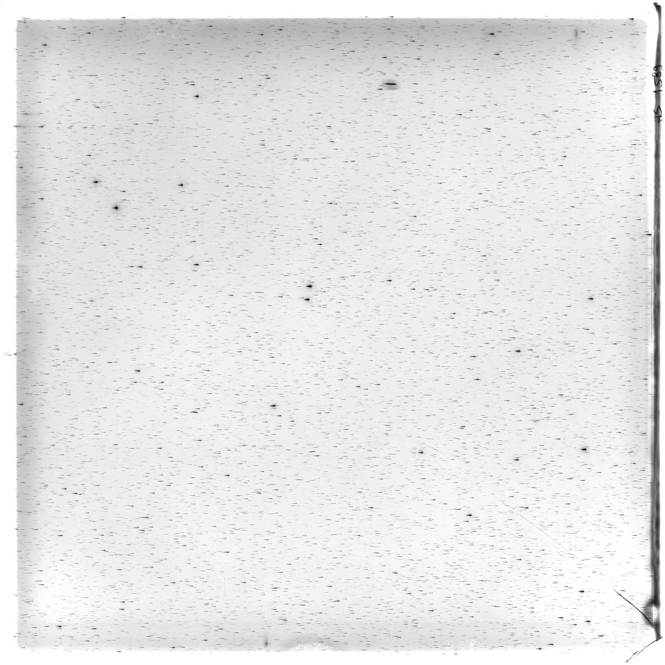 Scan HS01589