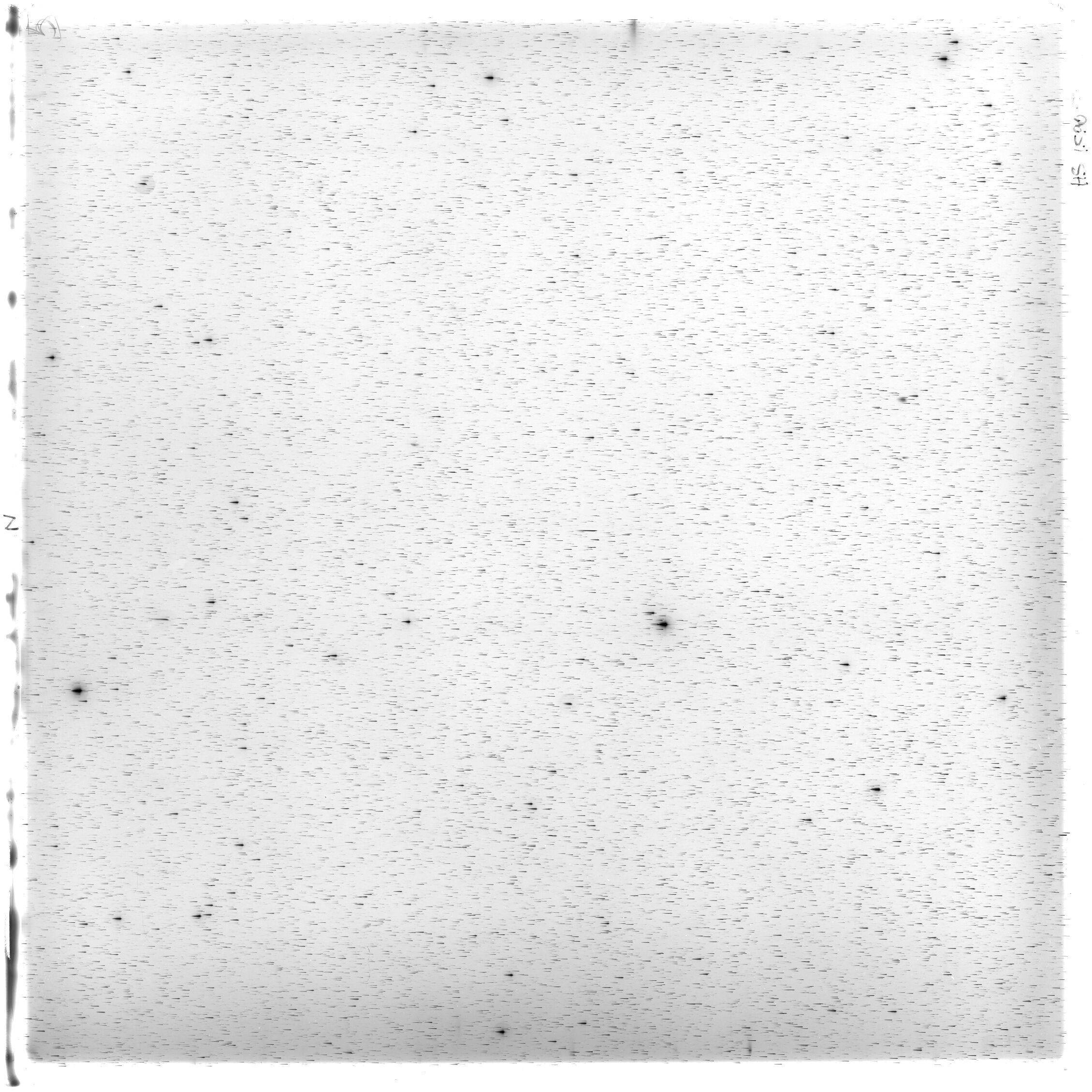 Scan HS01590