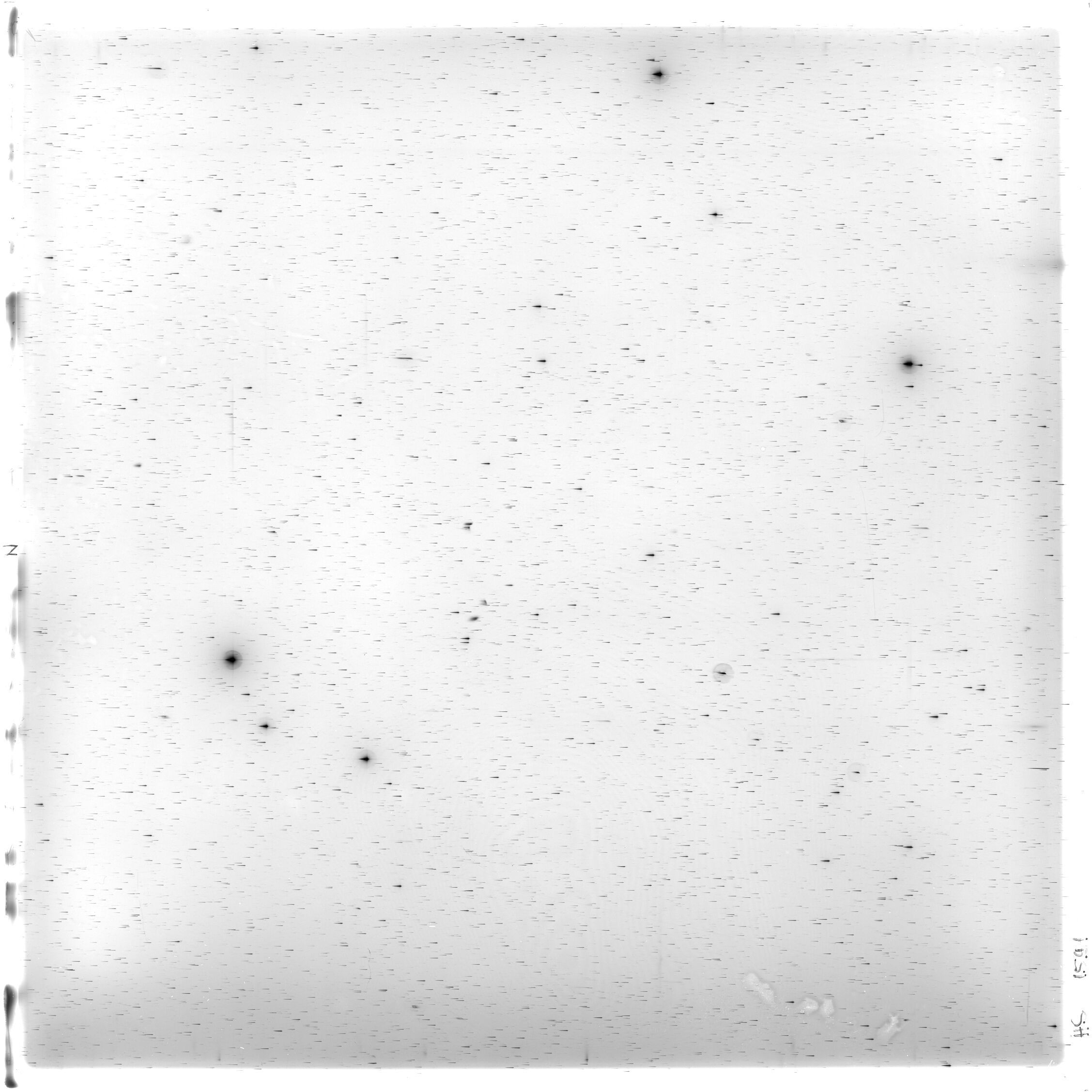 Scan HS01591
