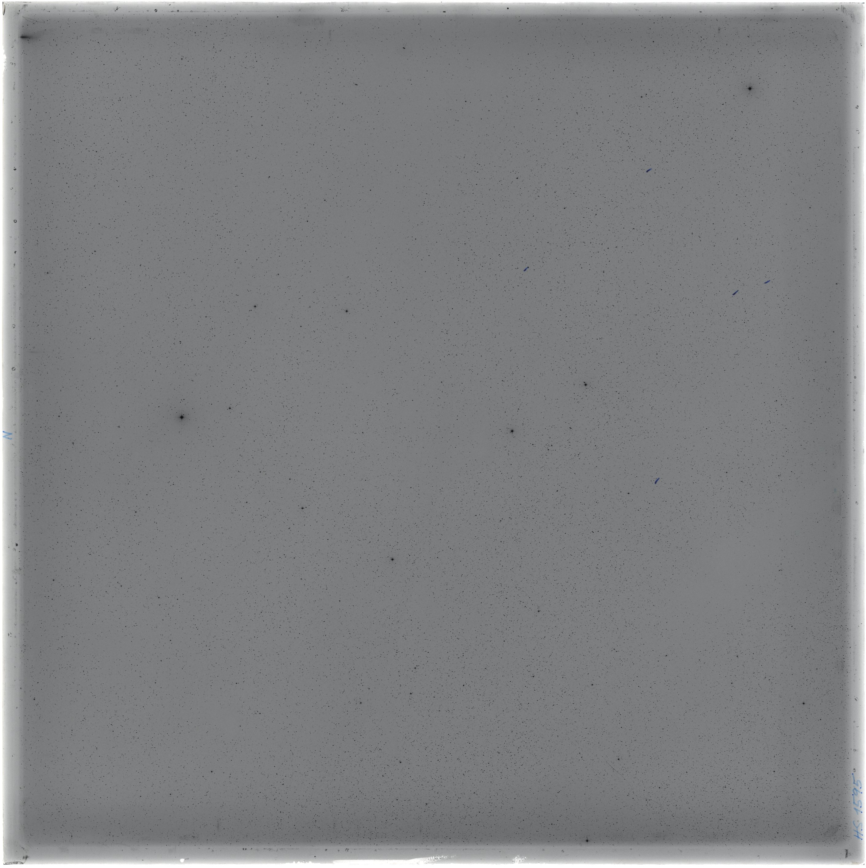 Scan HS01595