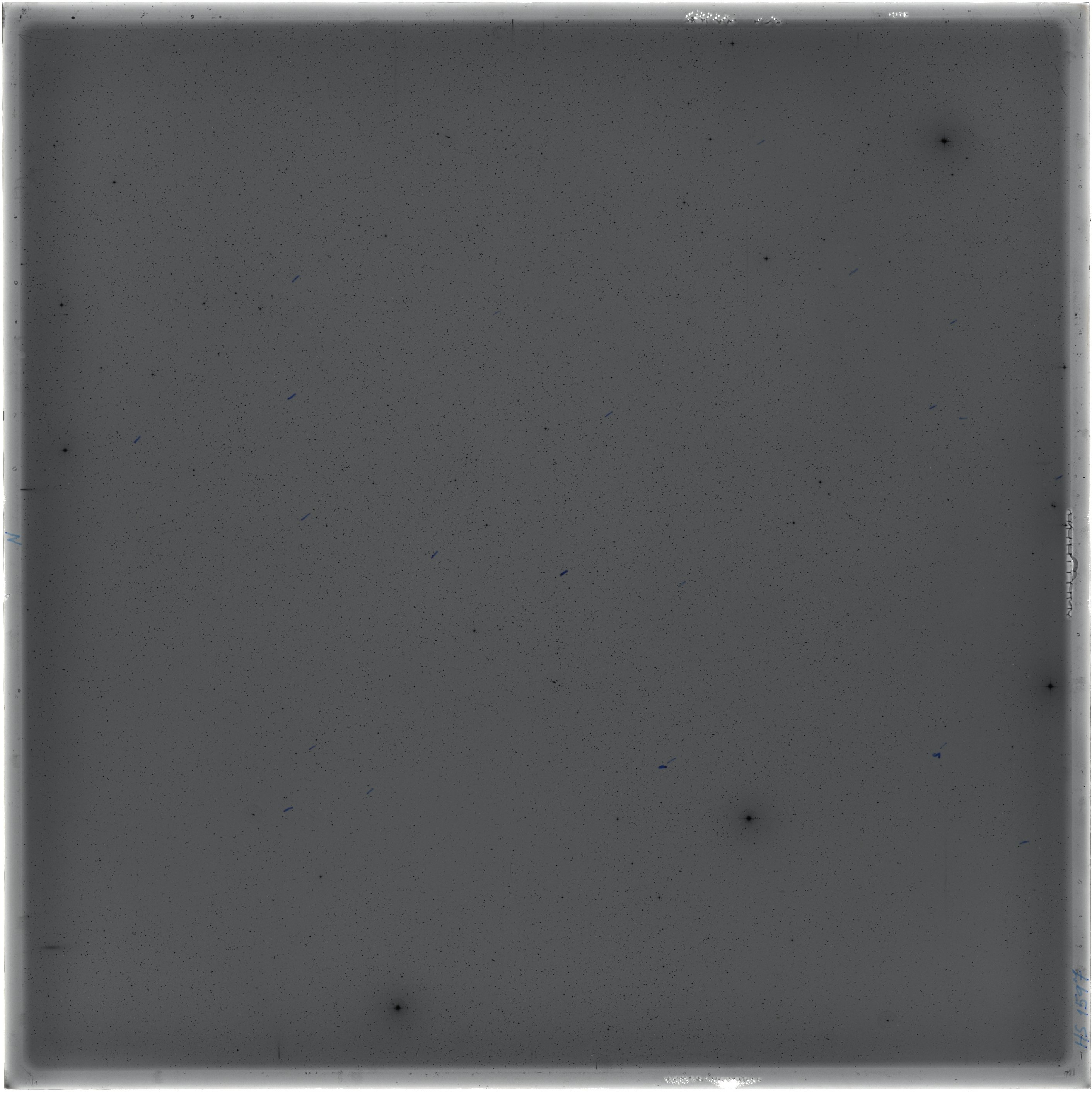 Scan HS01597