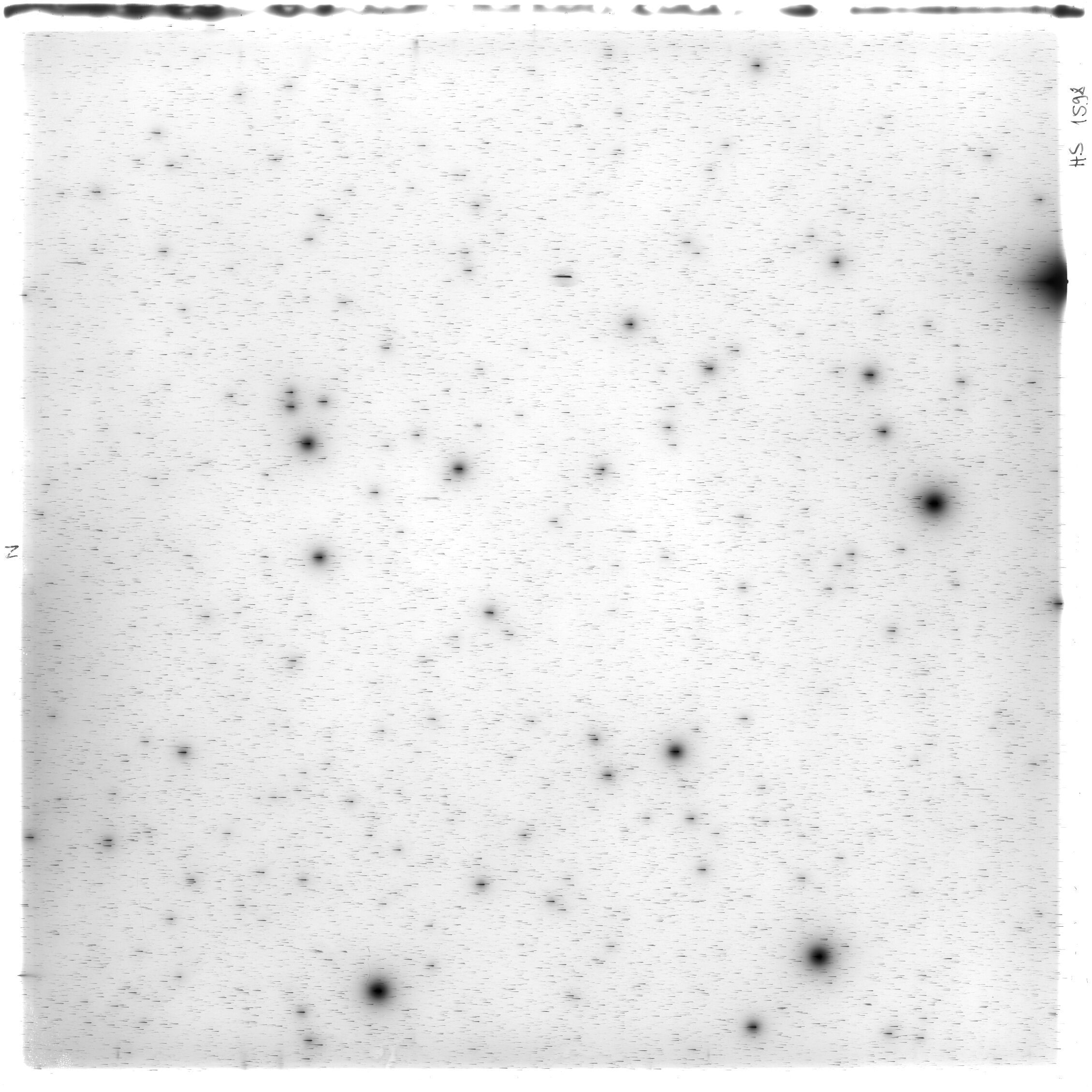Scan HS01598
