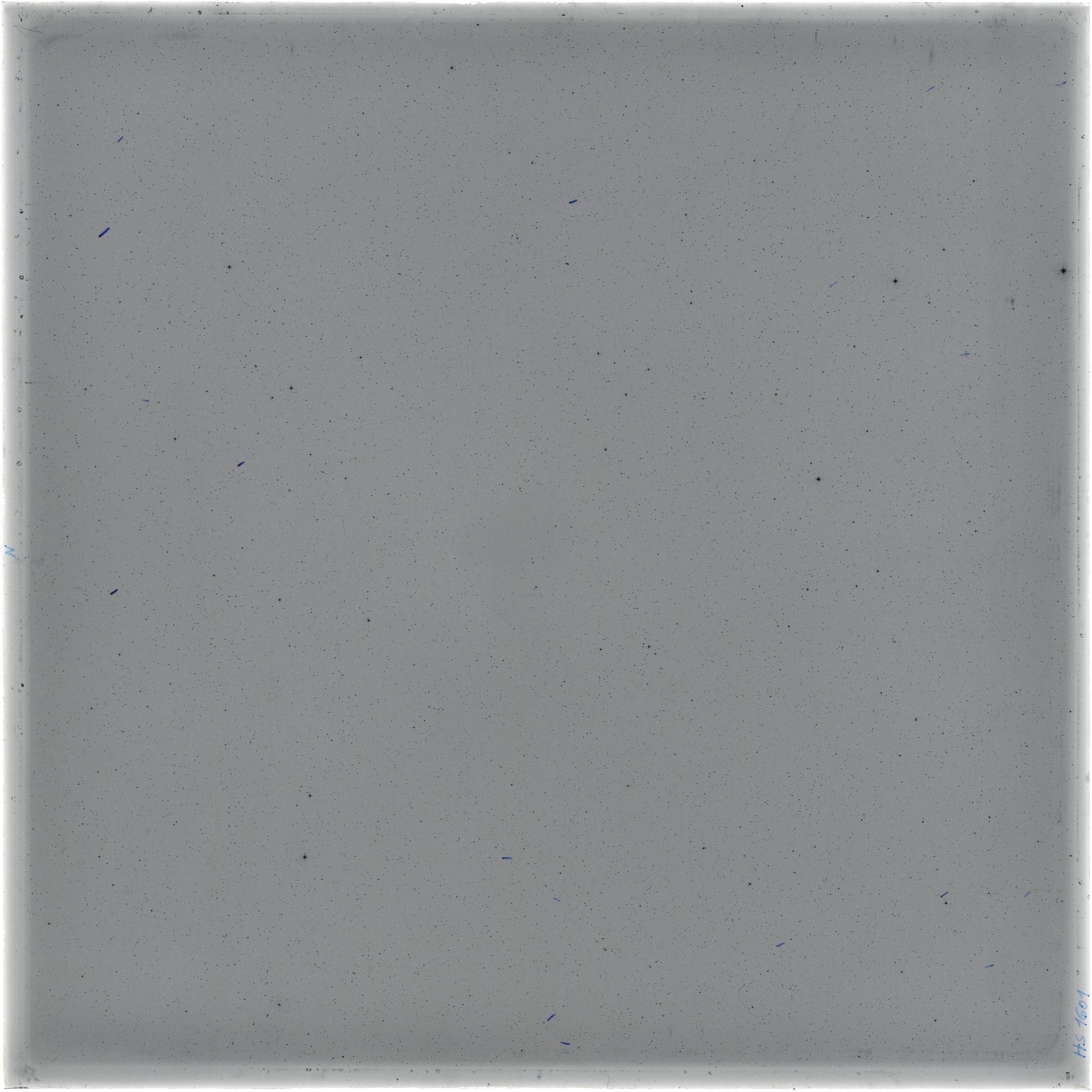 Scan HS01601