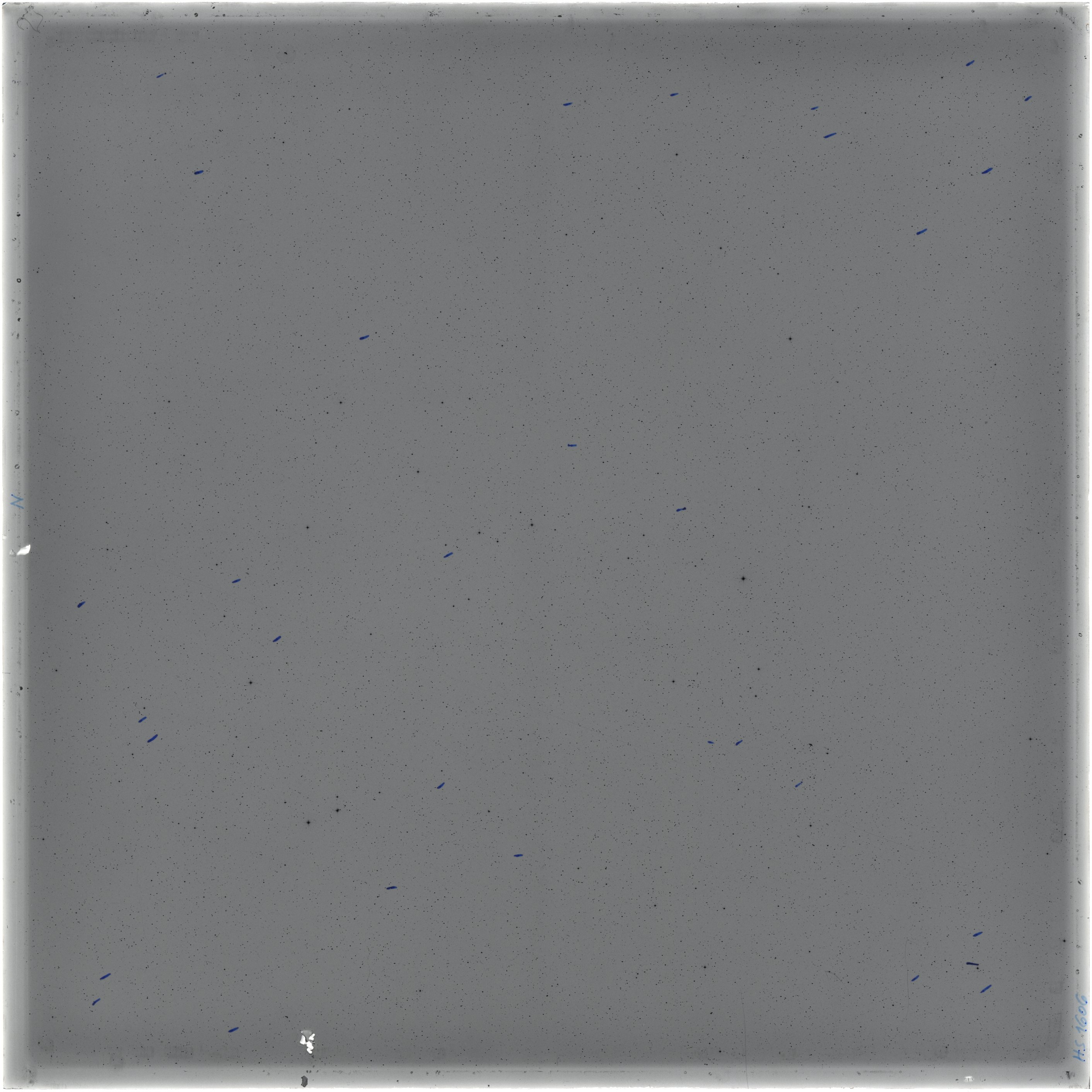 Scan HS01606