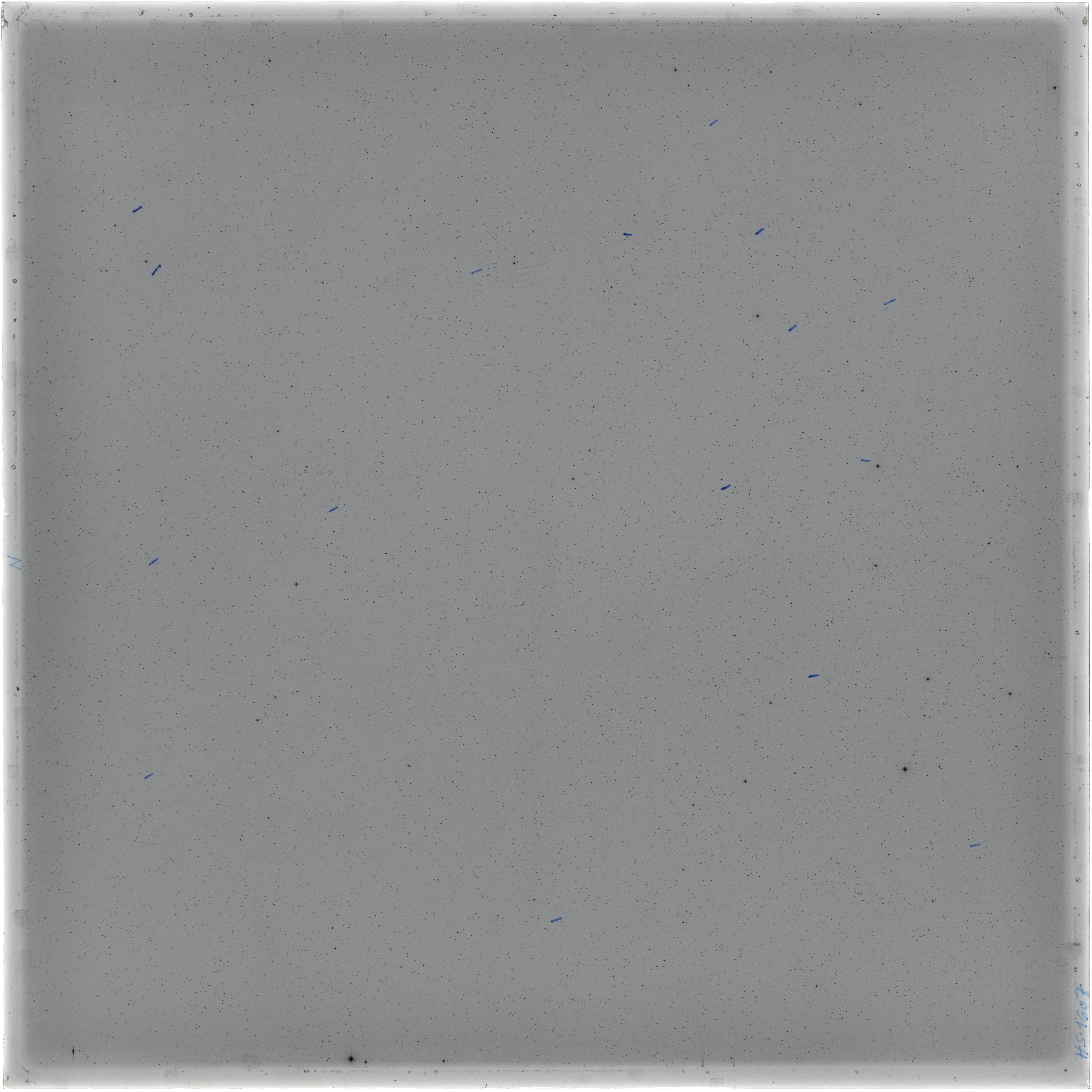Scan HS01607