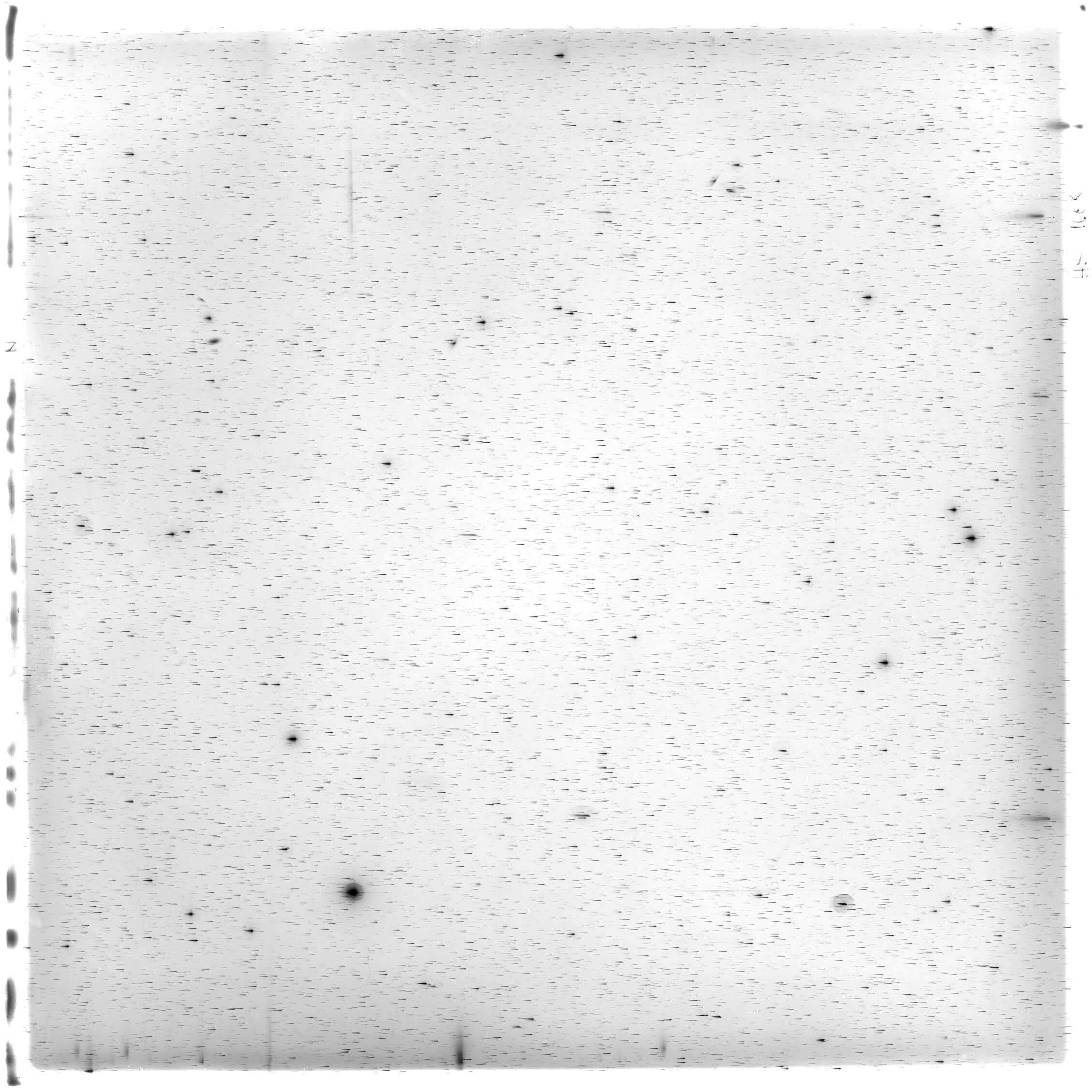 Scan HS01608