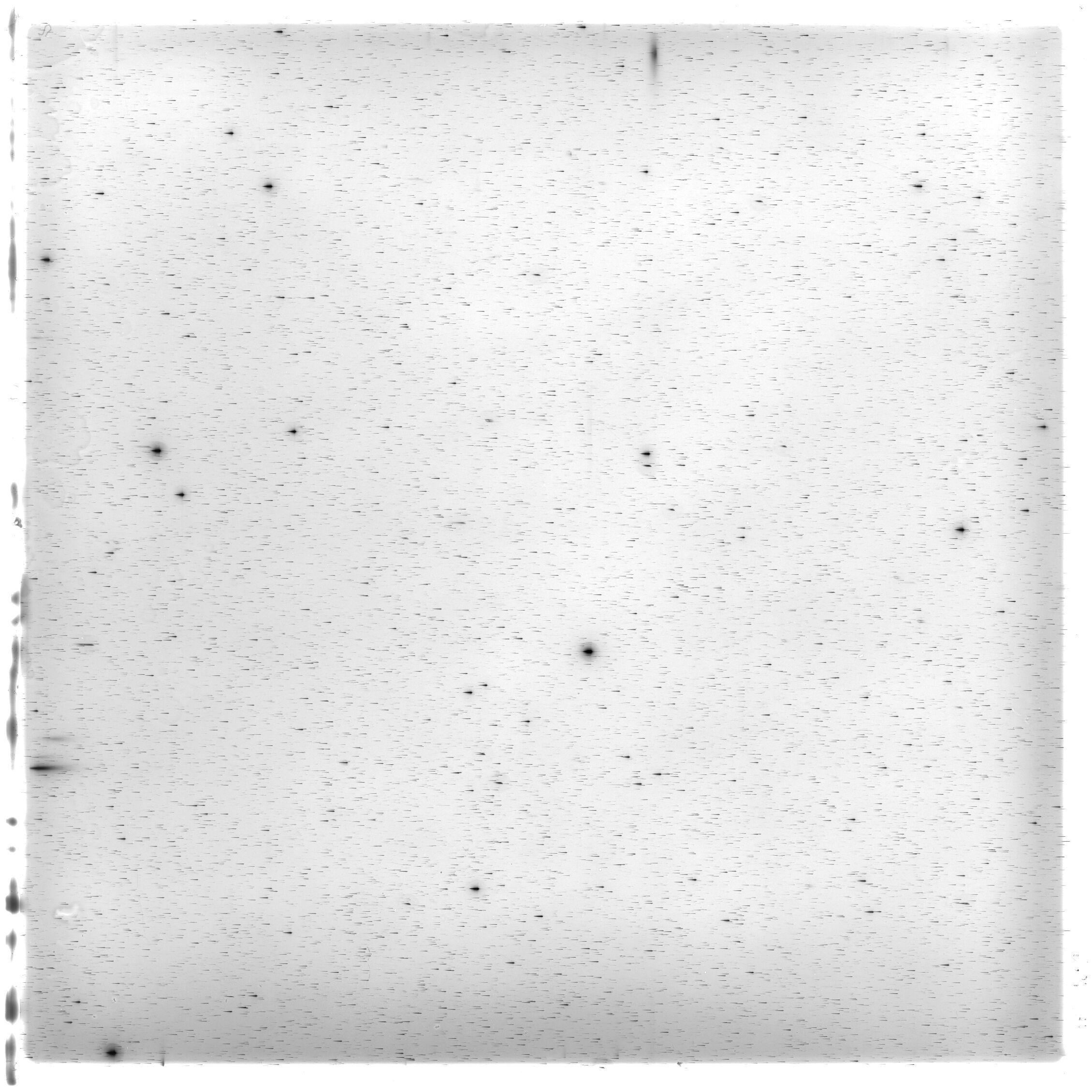 Scan HS01609