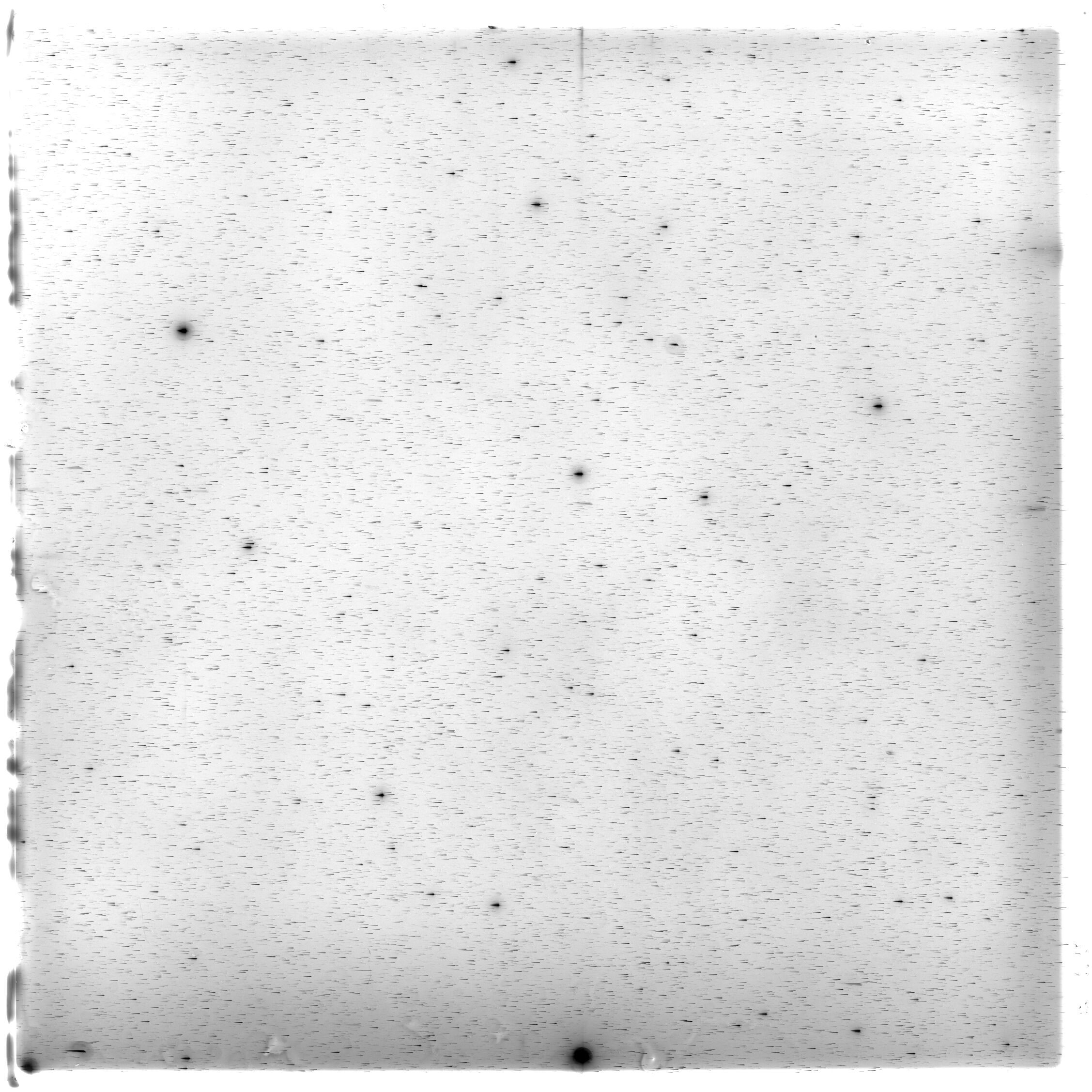 Scan HS01610
