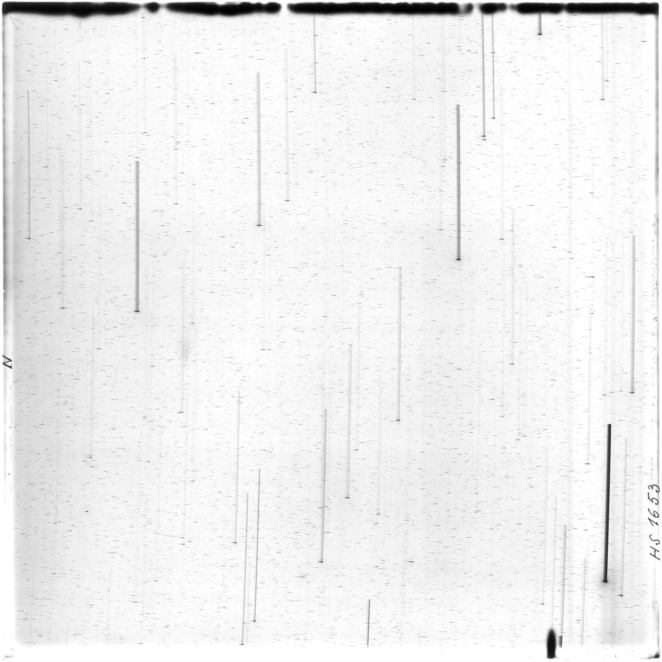 Scan HS01653