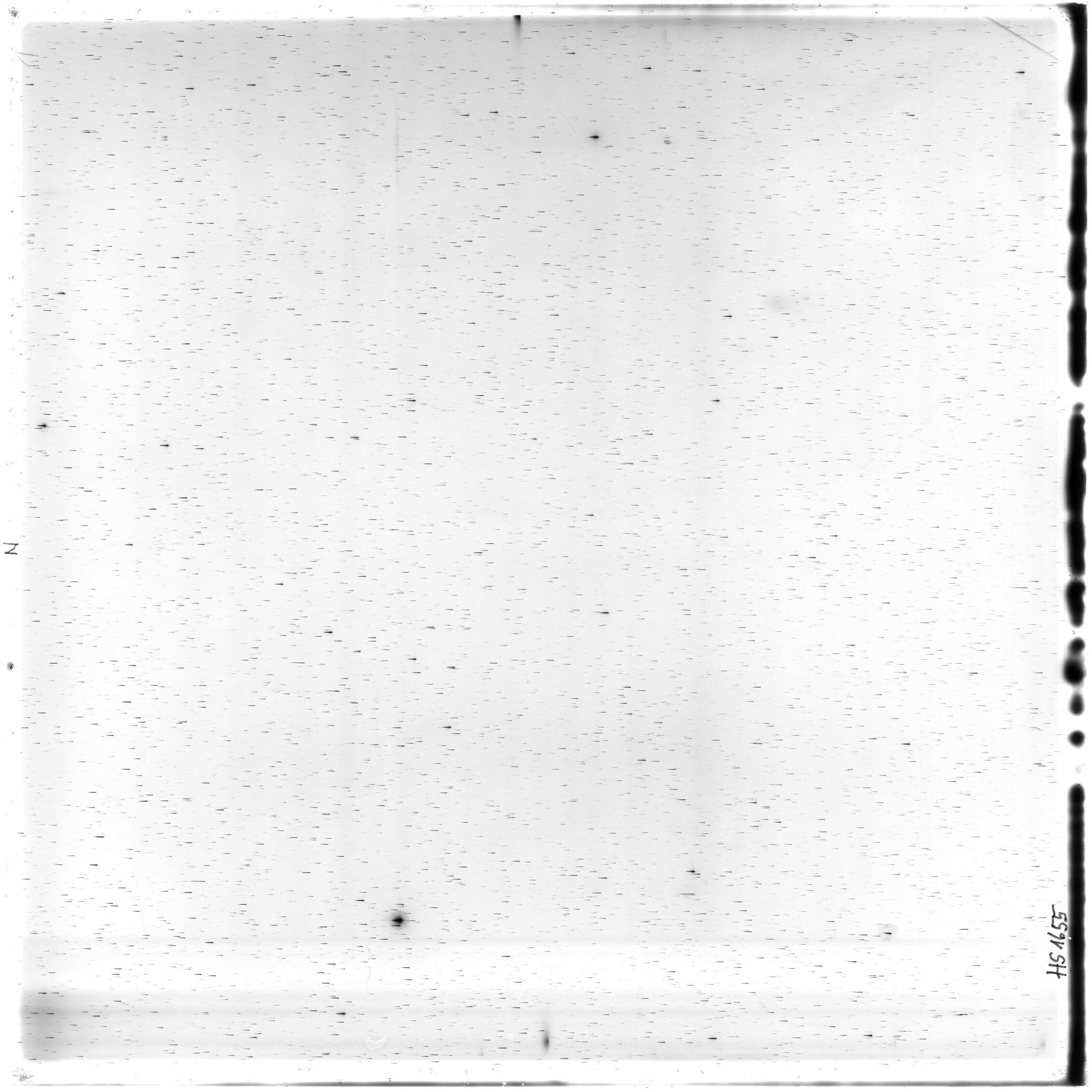 Scan HS01655