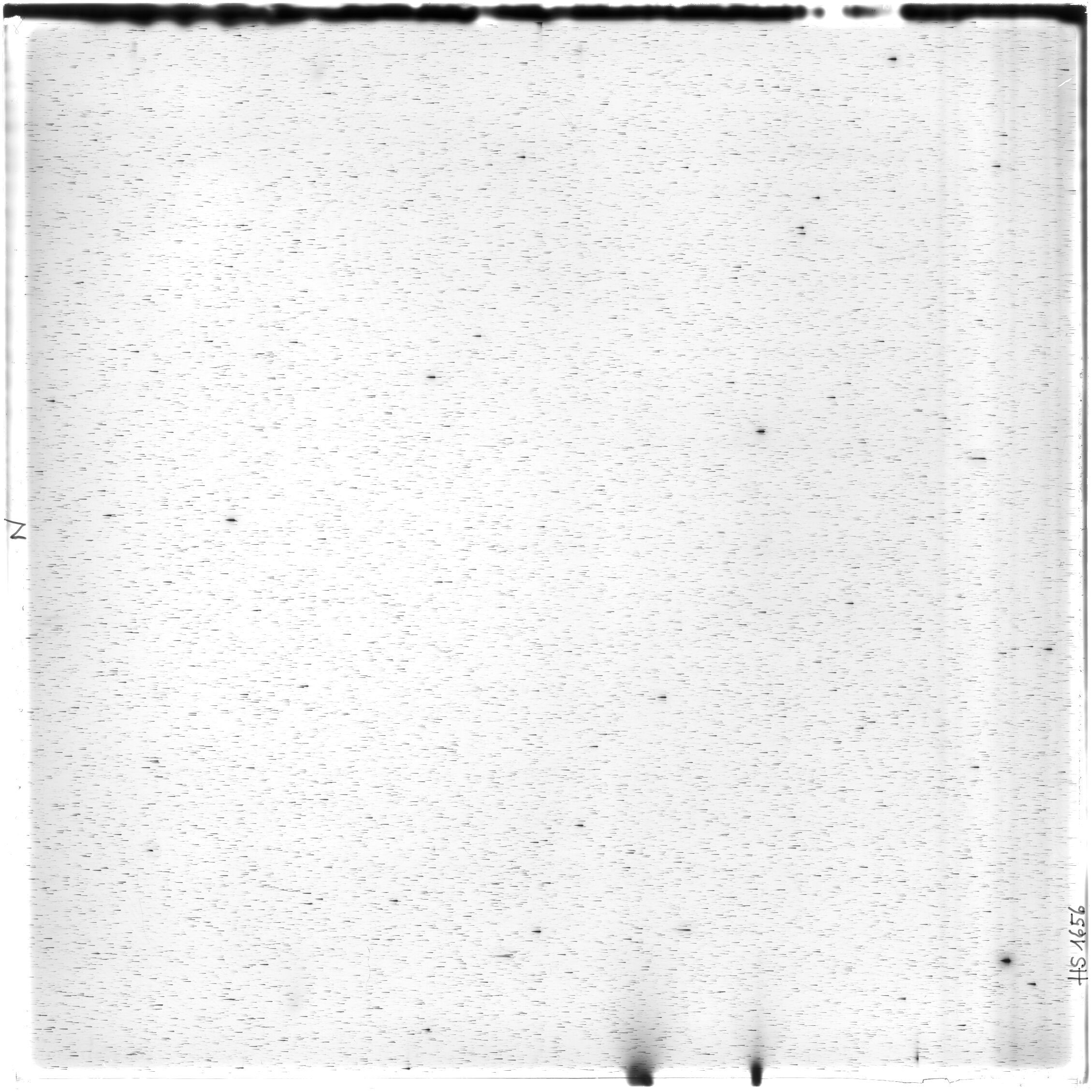 Scan HS01656