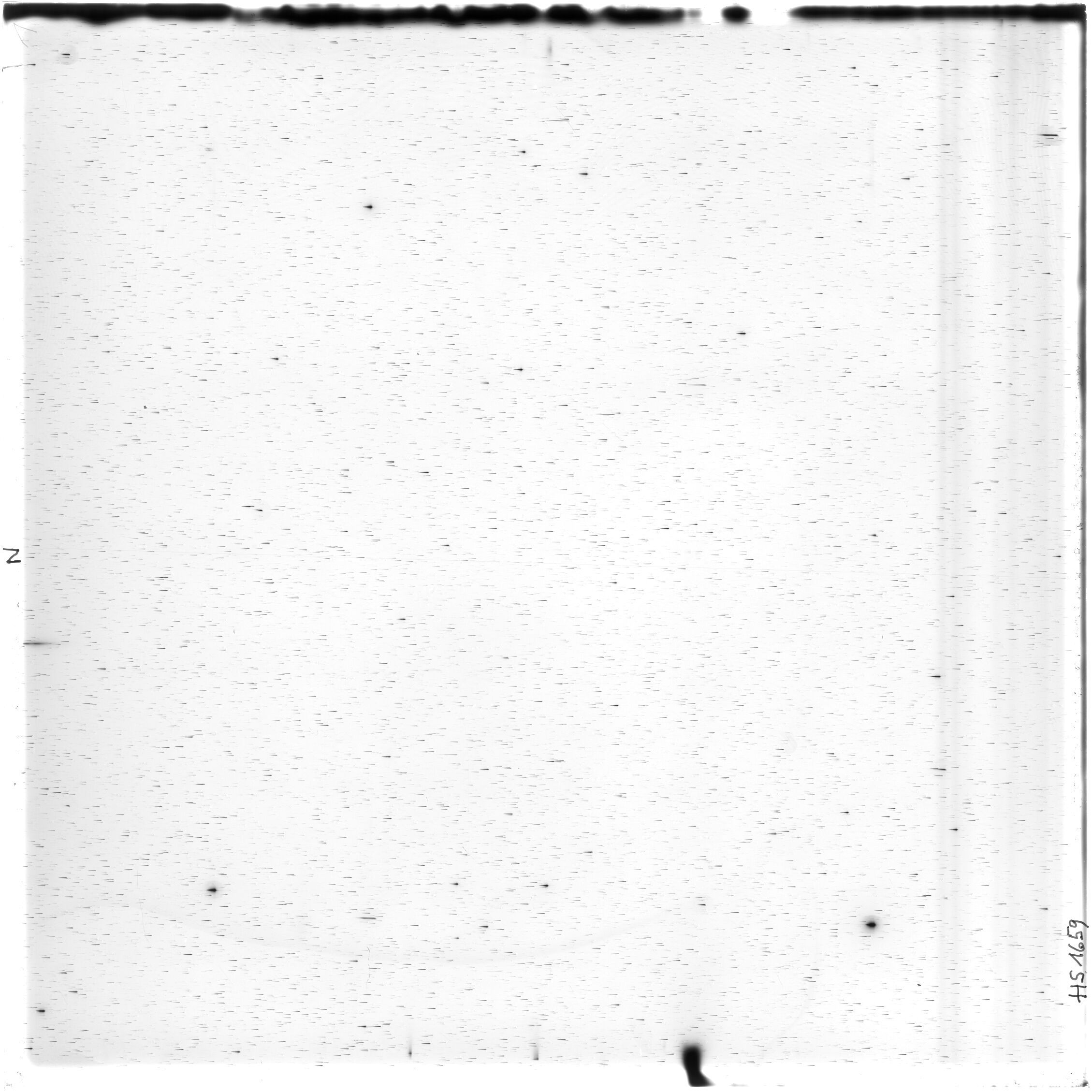 Scan HS01659
