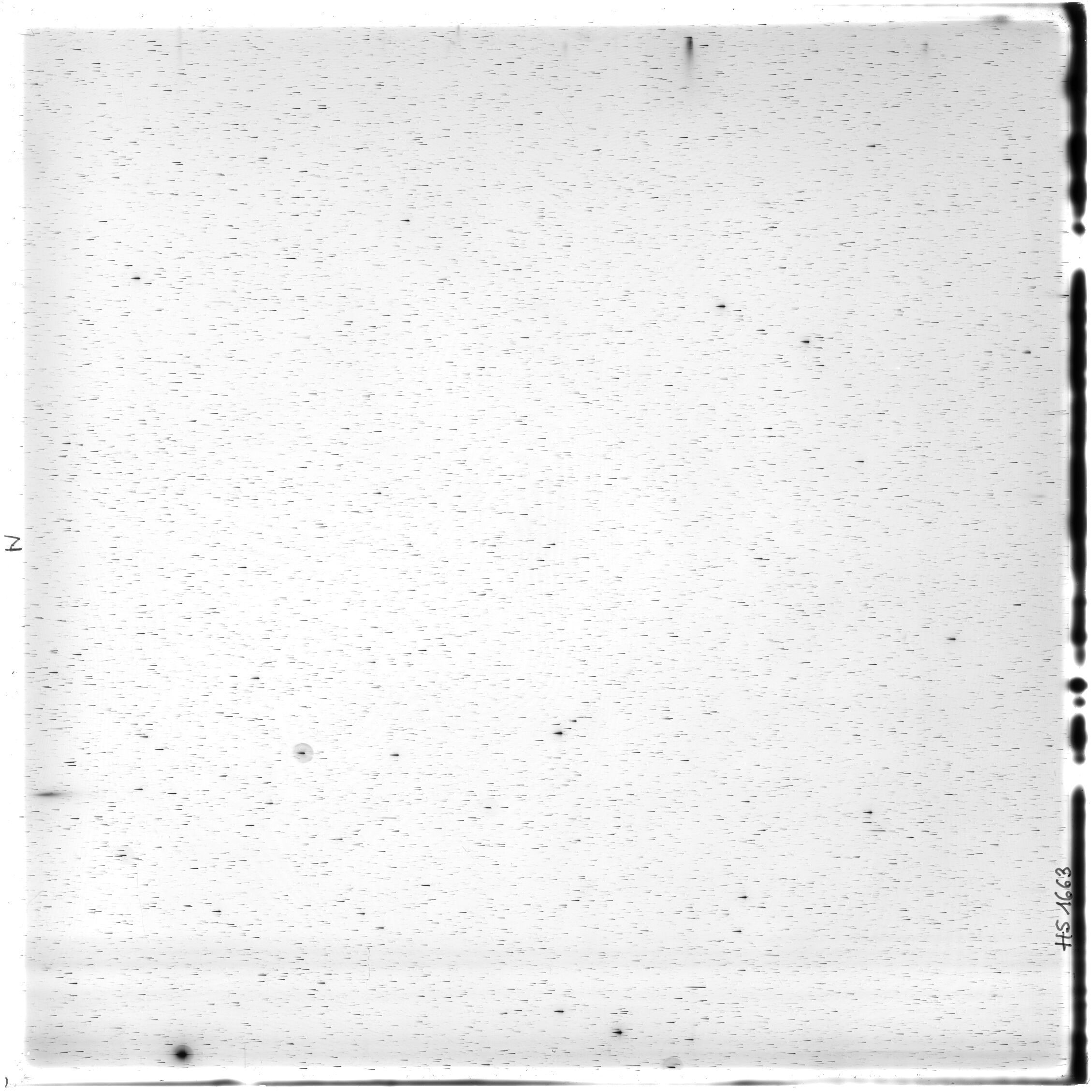 Scan HS01663
