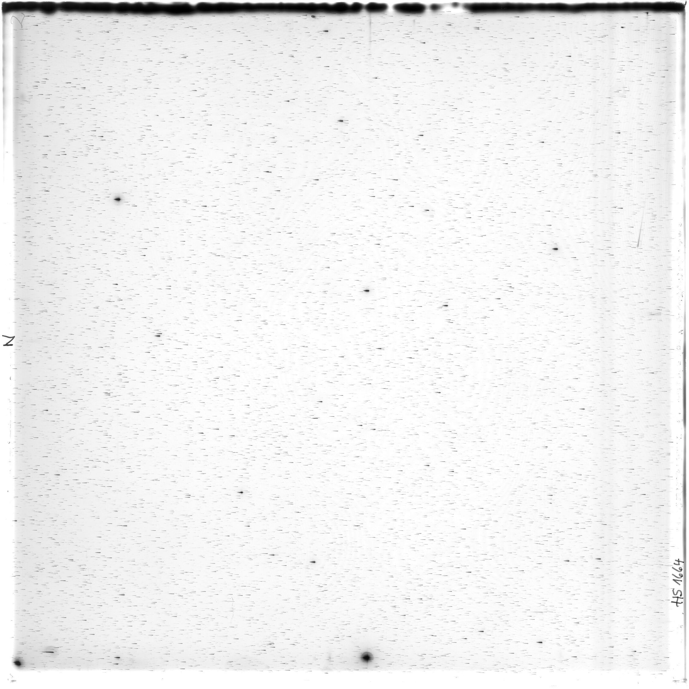 Scan HS01664