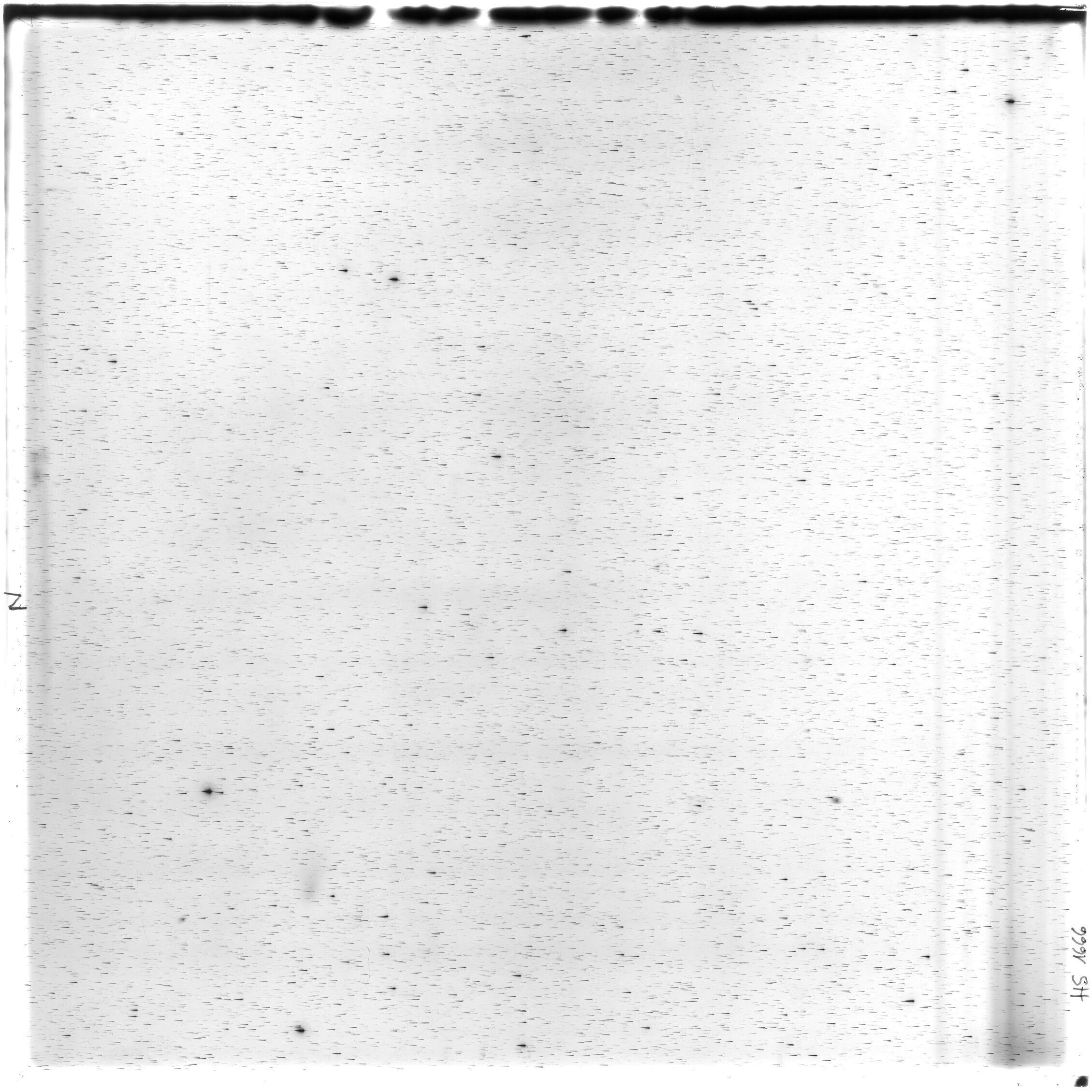 Scan HS01666