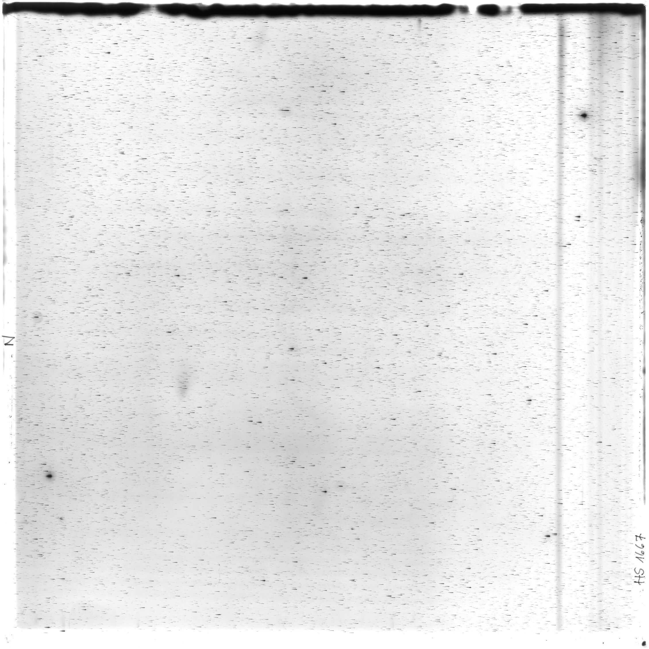 Scan HS01667