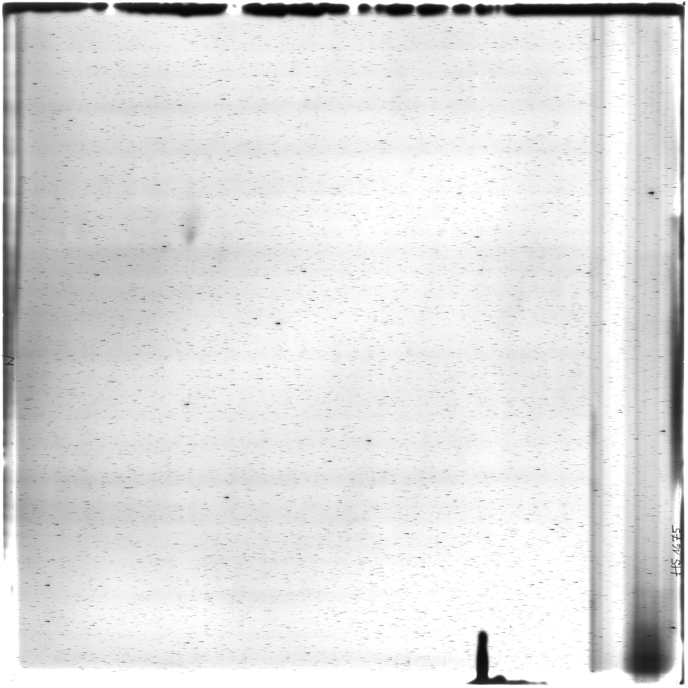 Scan HS01675