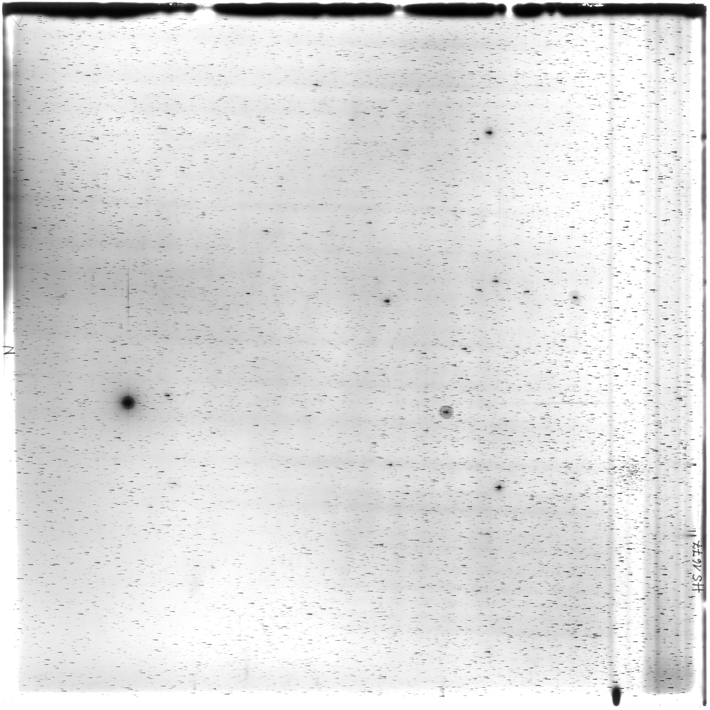 Scan HS01677