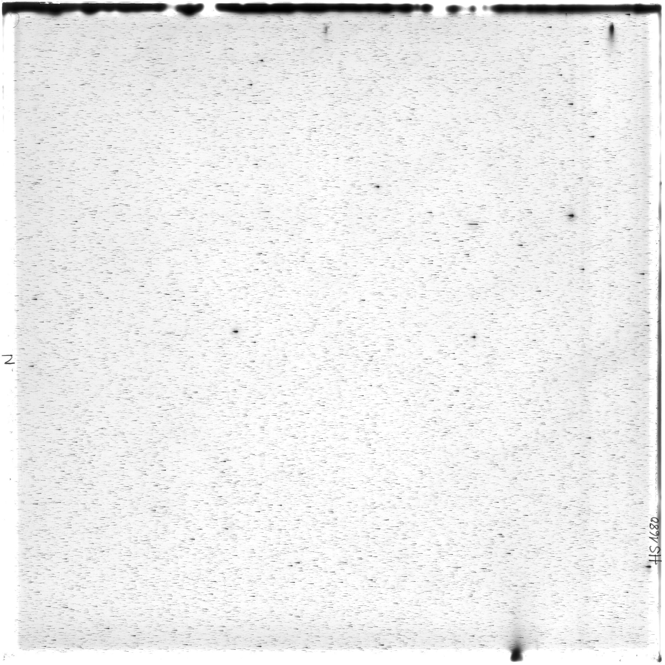 Scan HS01680