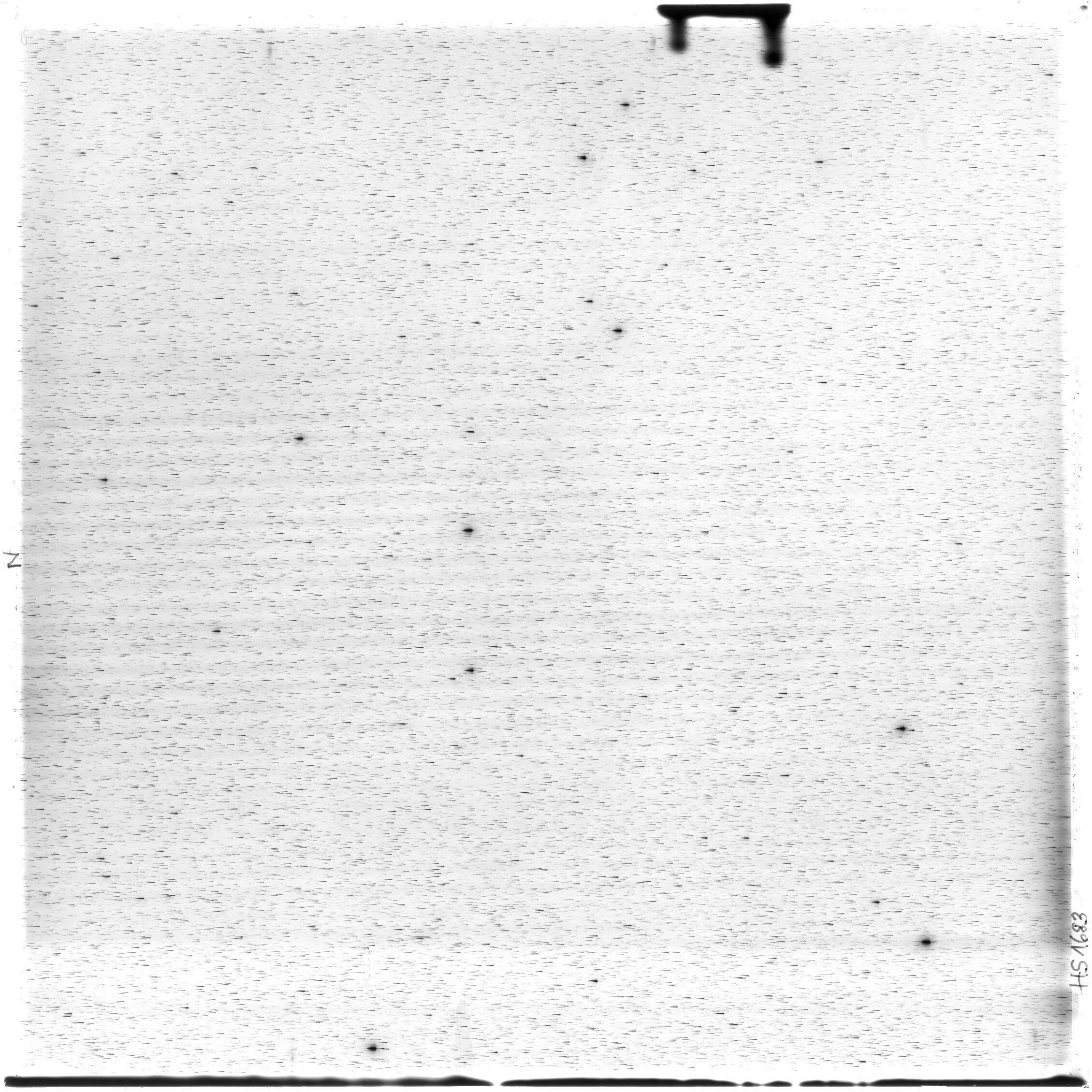 Scan HS01683